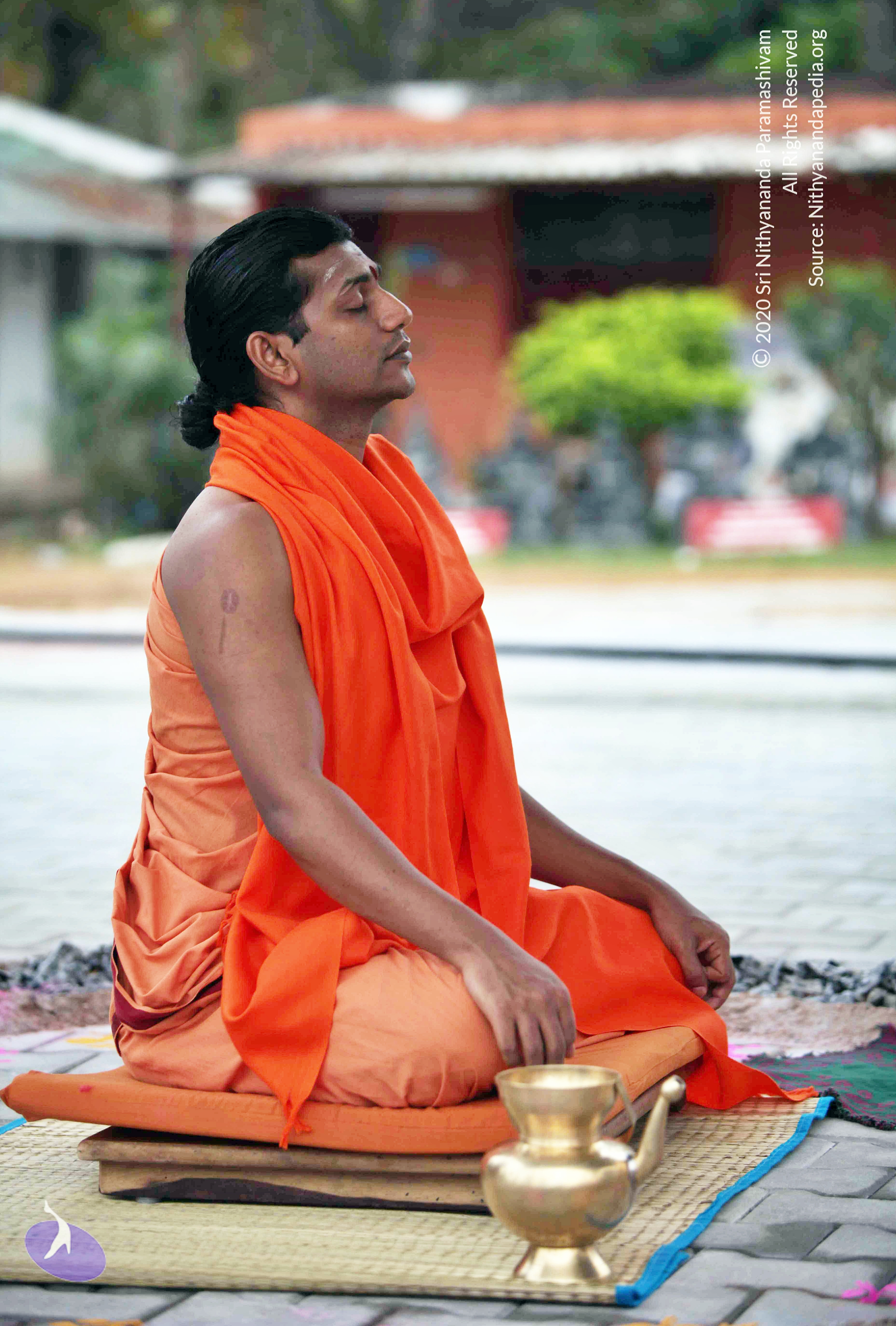 20110222_Photo_1025_IMG_8995_CMP_WM