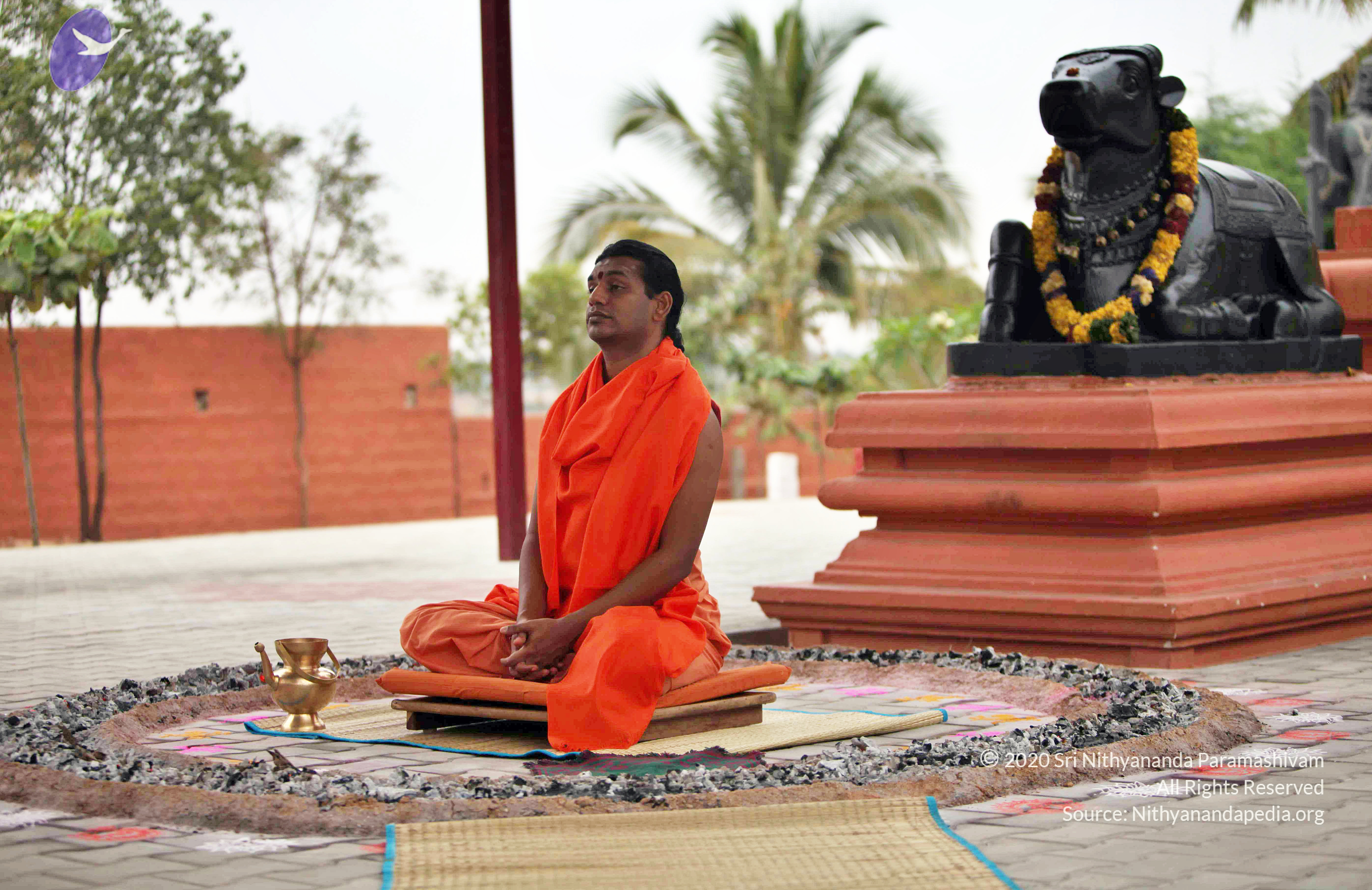 20110222_Photo_1032_IMG_9019_CMP_WM