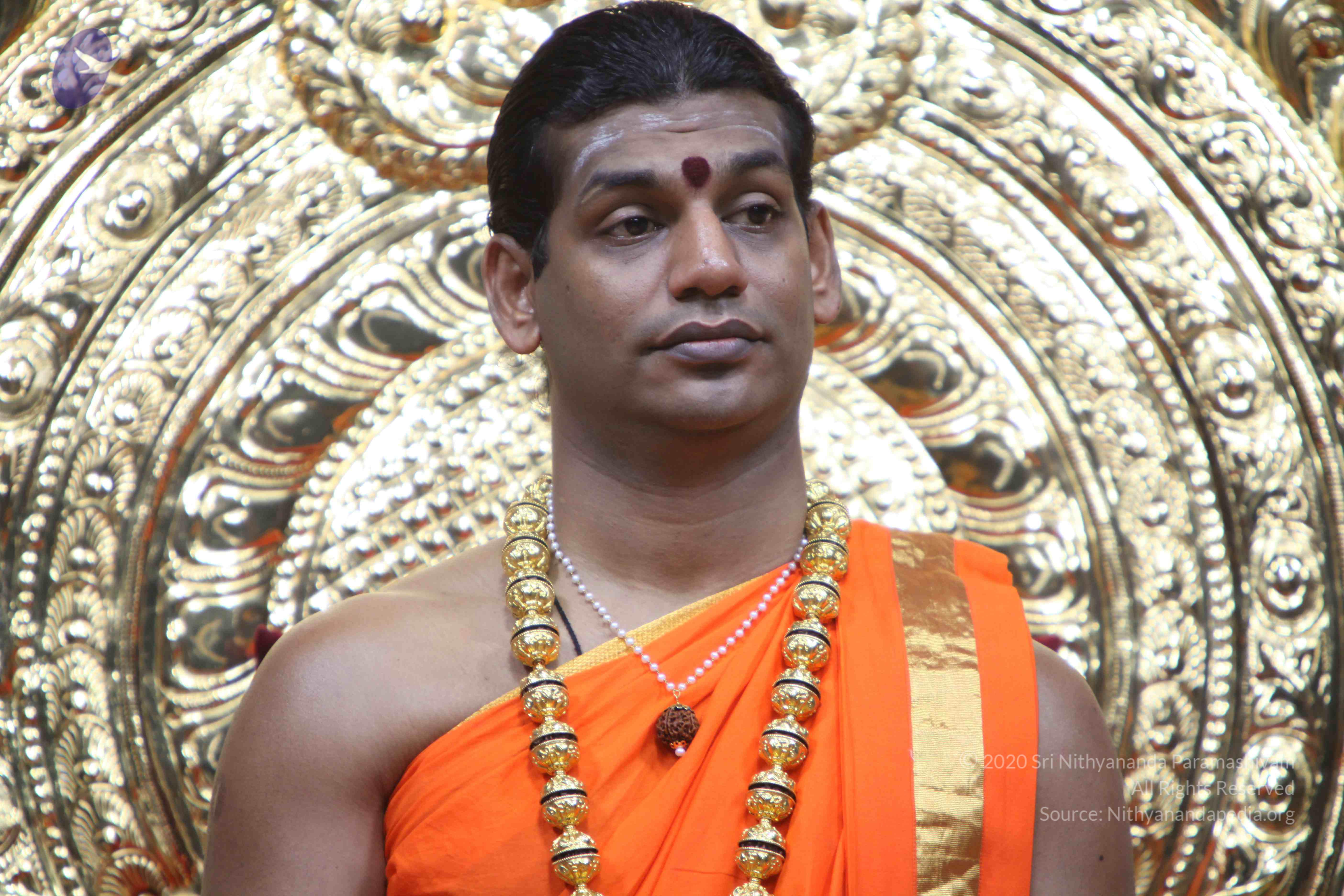 20110222_Photo_1113_IMG_9057_CMP_WM