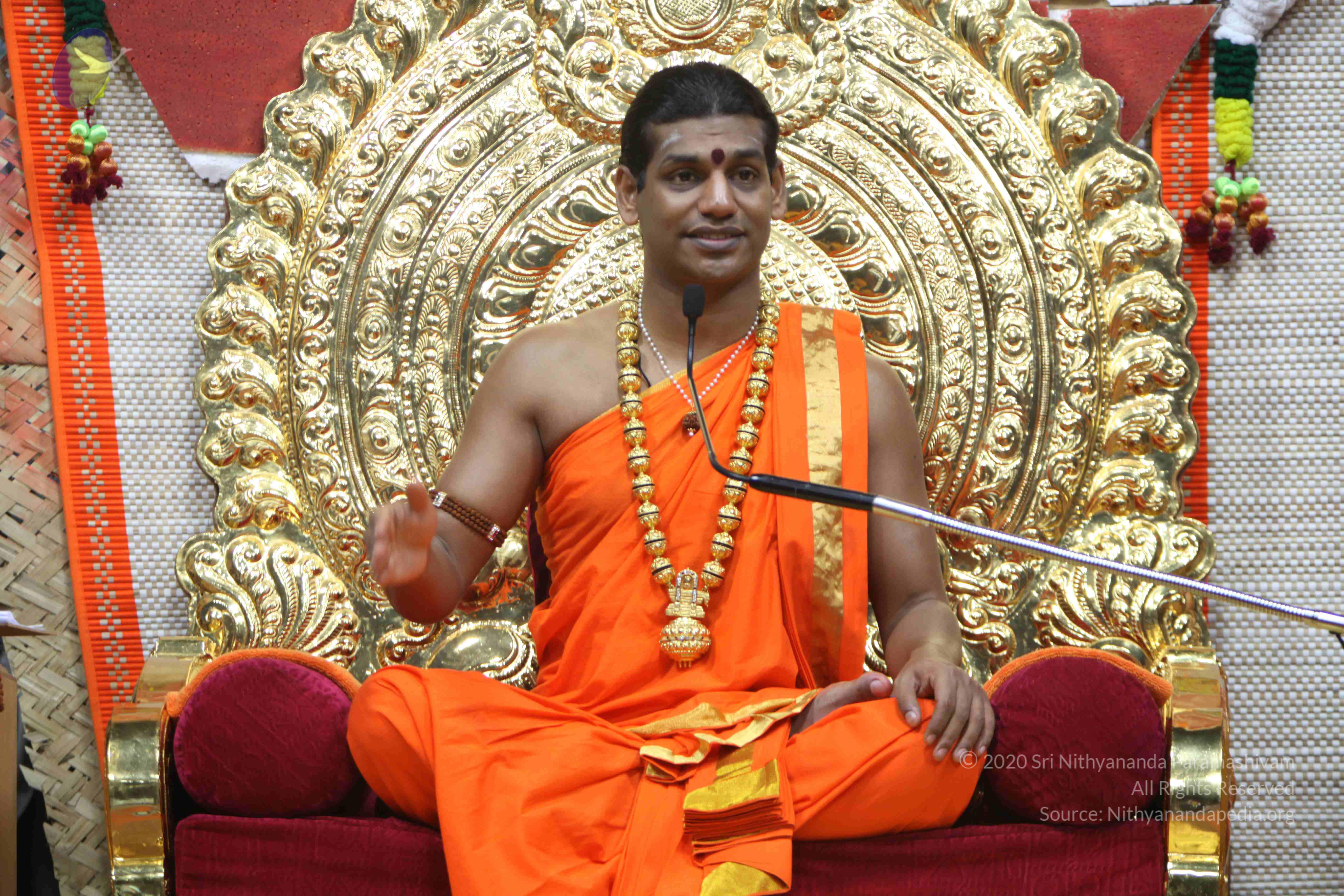 20110222_Photo_1083_IMG_9500_CMP_WM