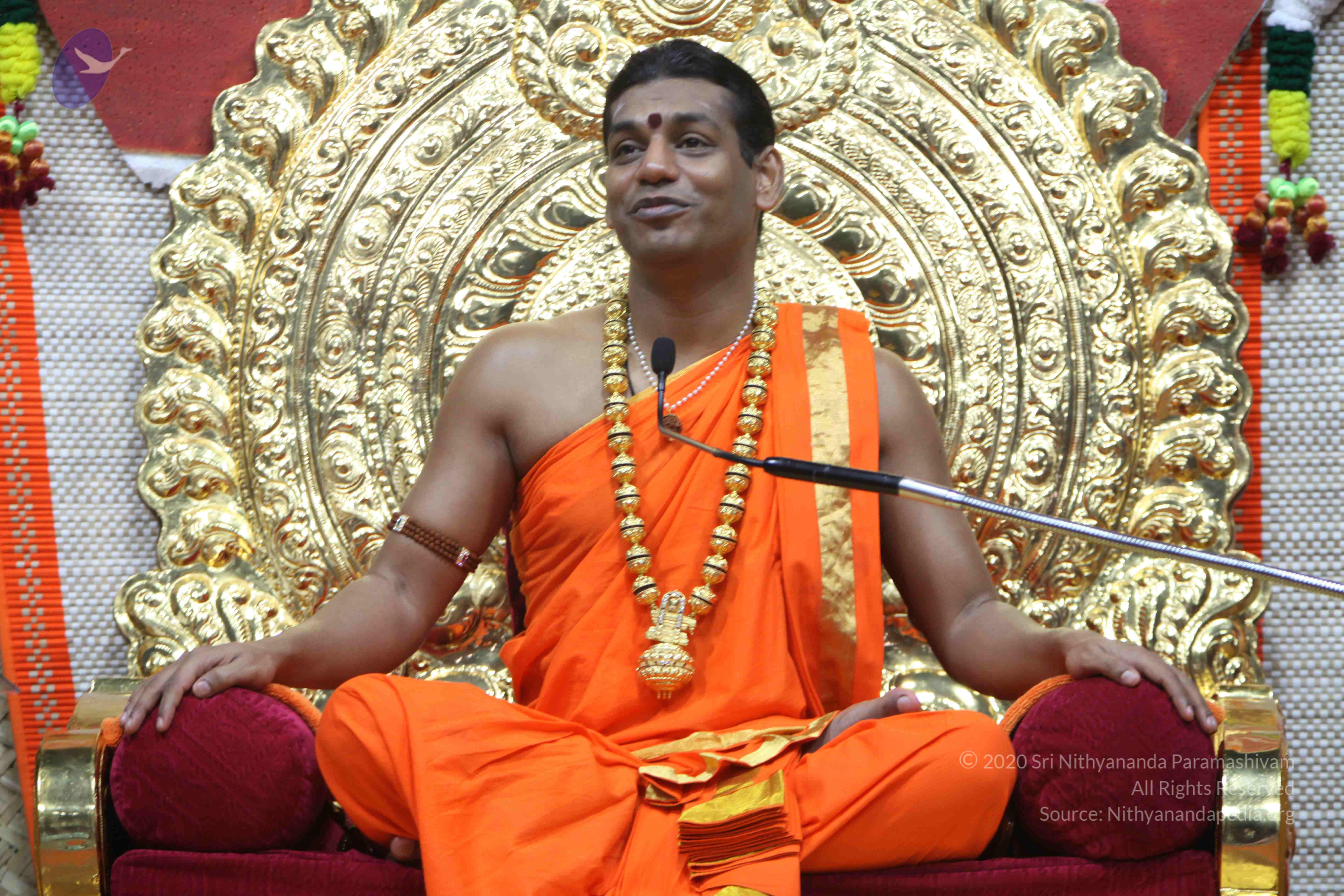 20110222_Photo_1364_IMG_9749_CMP_WM