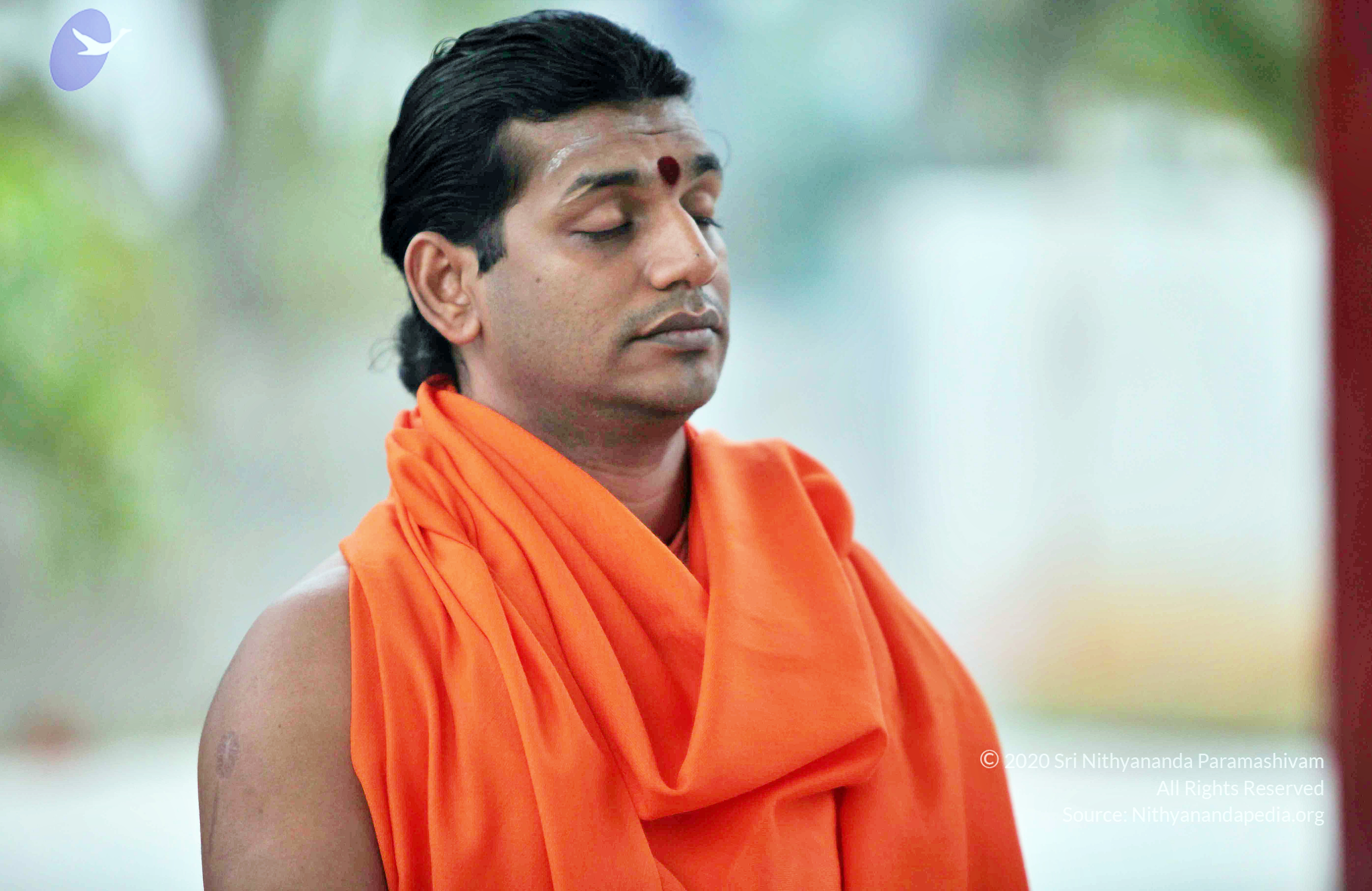 20110222_Photo_1000_IMG_8999_CMP_WM