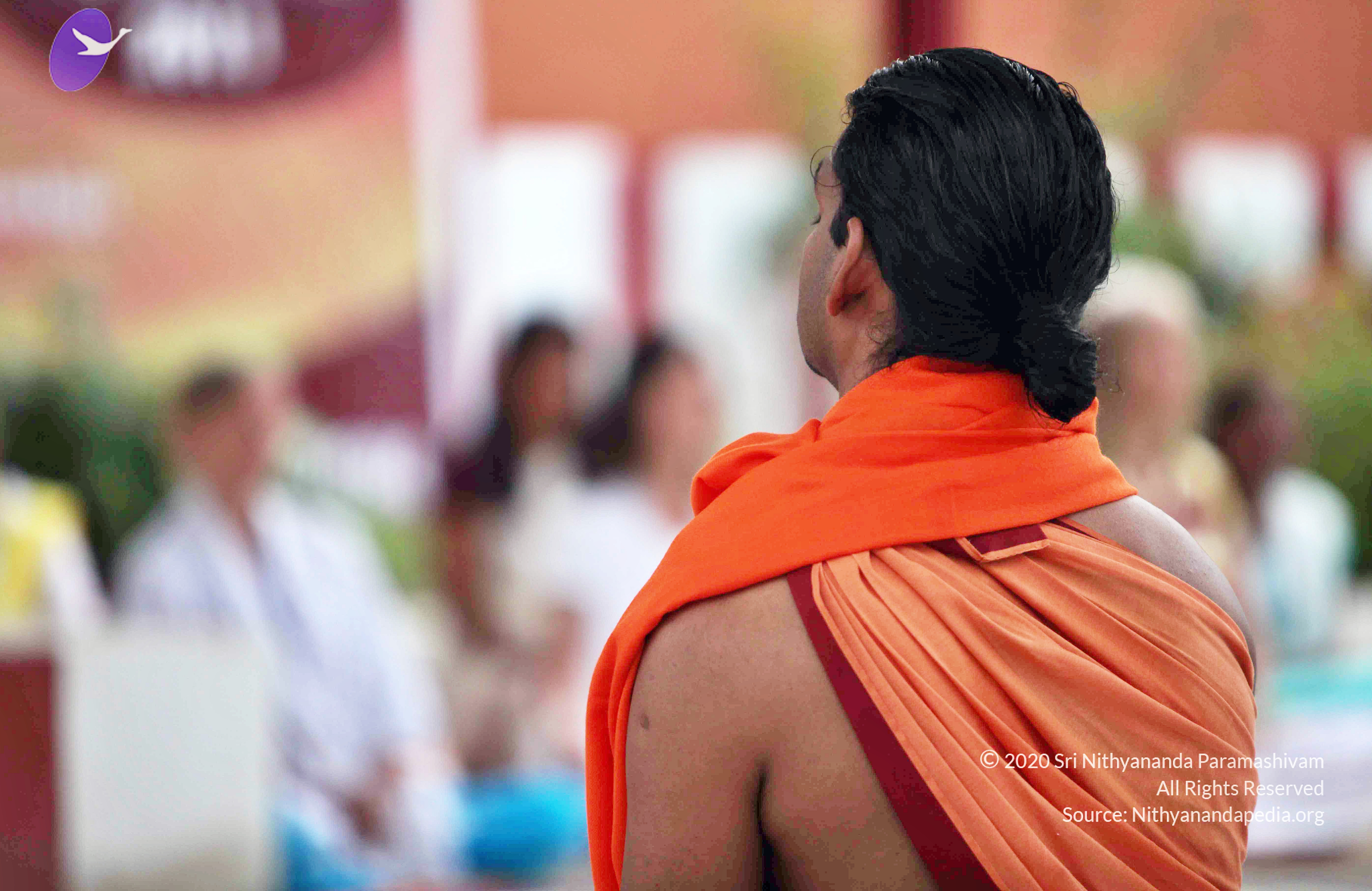 20110222_Photo_1002_IMG_9020_CMP_WM