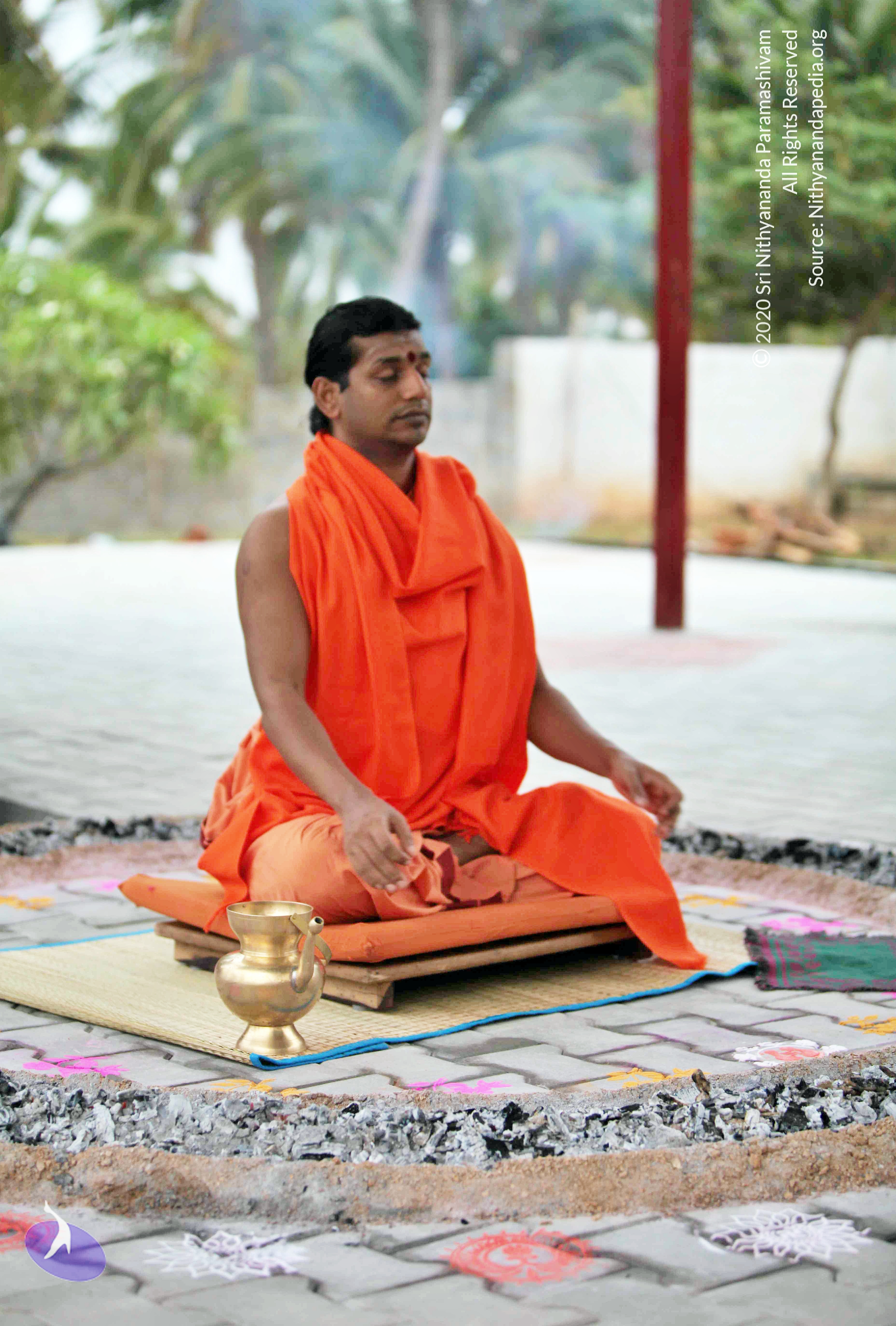 20110222_Photo_1003_IMG_9006_CMP_WM