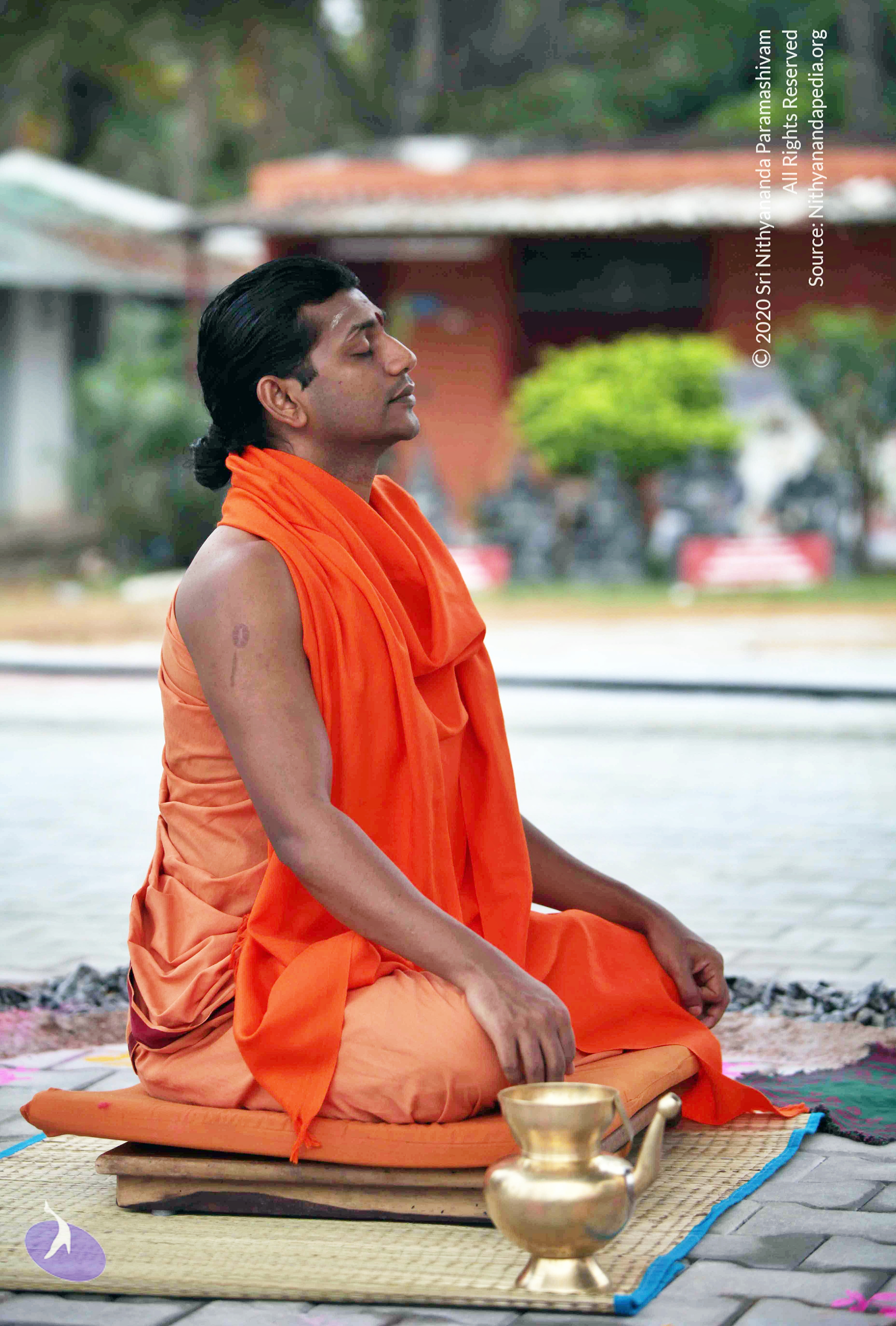 20110222_Photo_1004_IMG_8994_CMP_WM