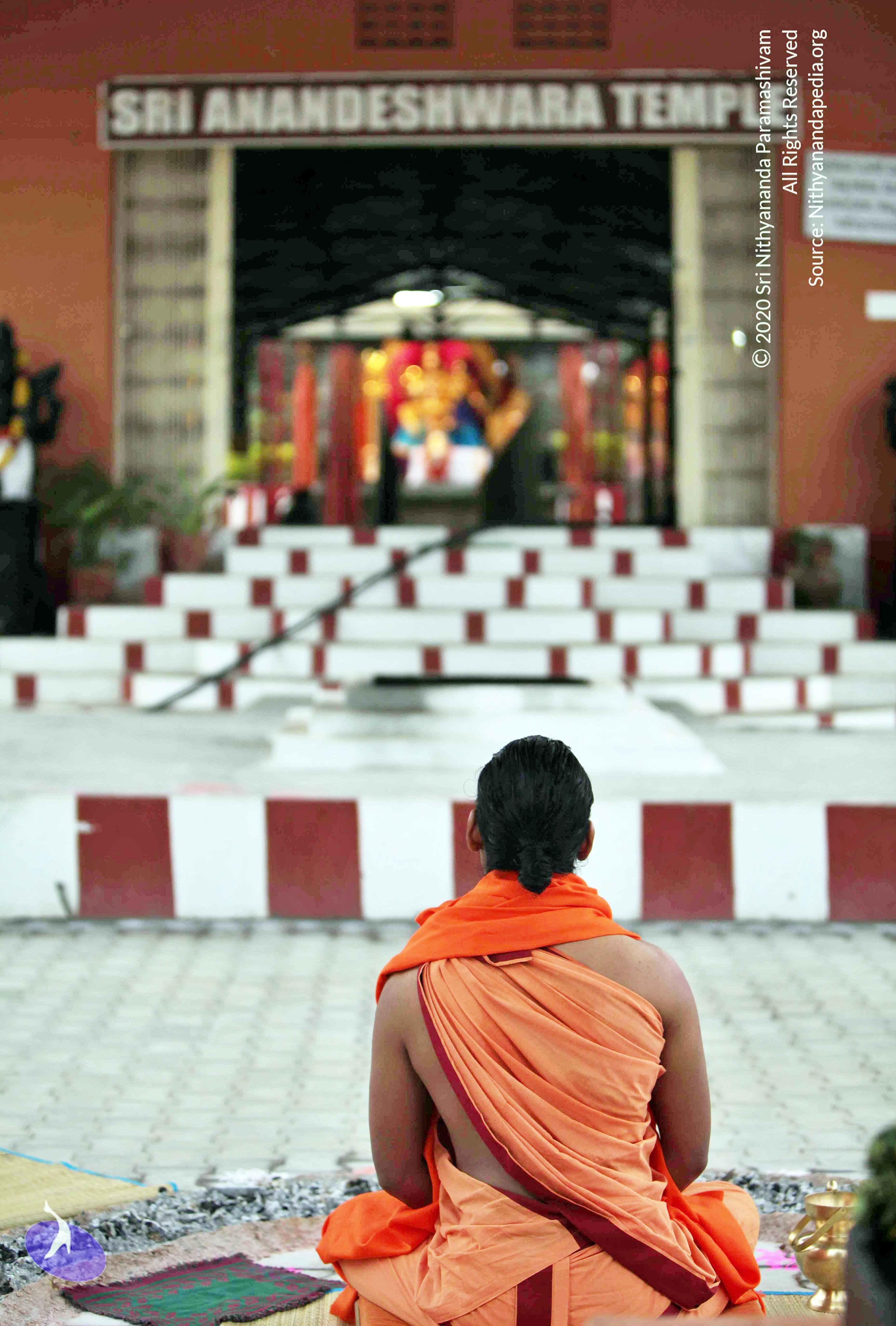 20110222_Photo_1007_IMG_9025_CMP_WM