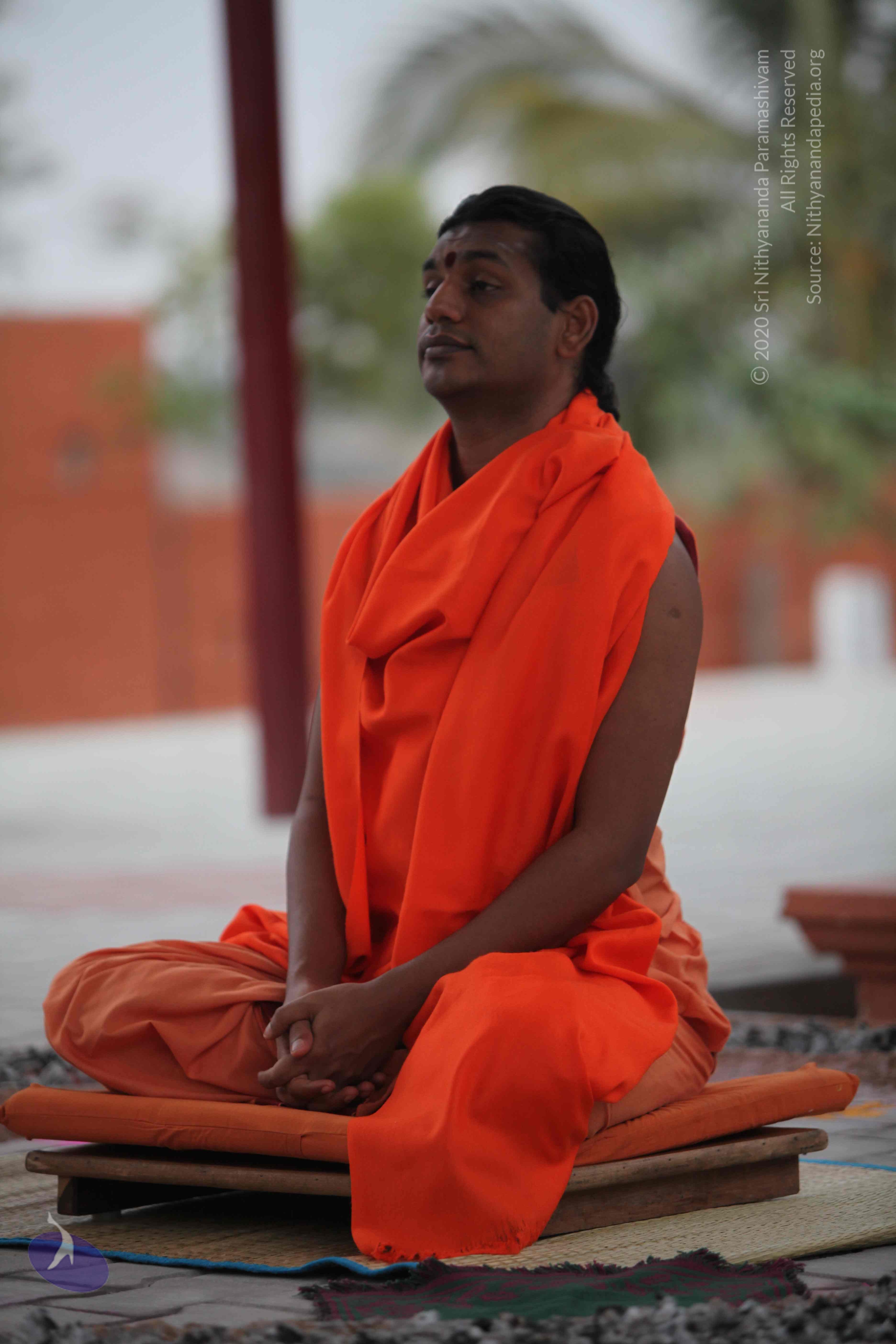 20110222_Photo_1008_IMG_9012_CMP_WM