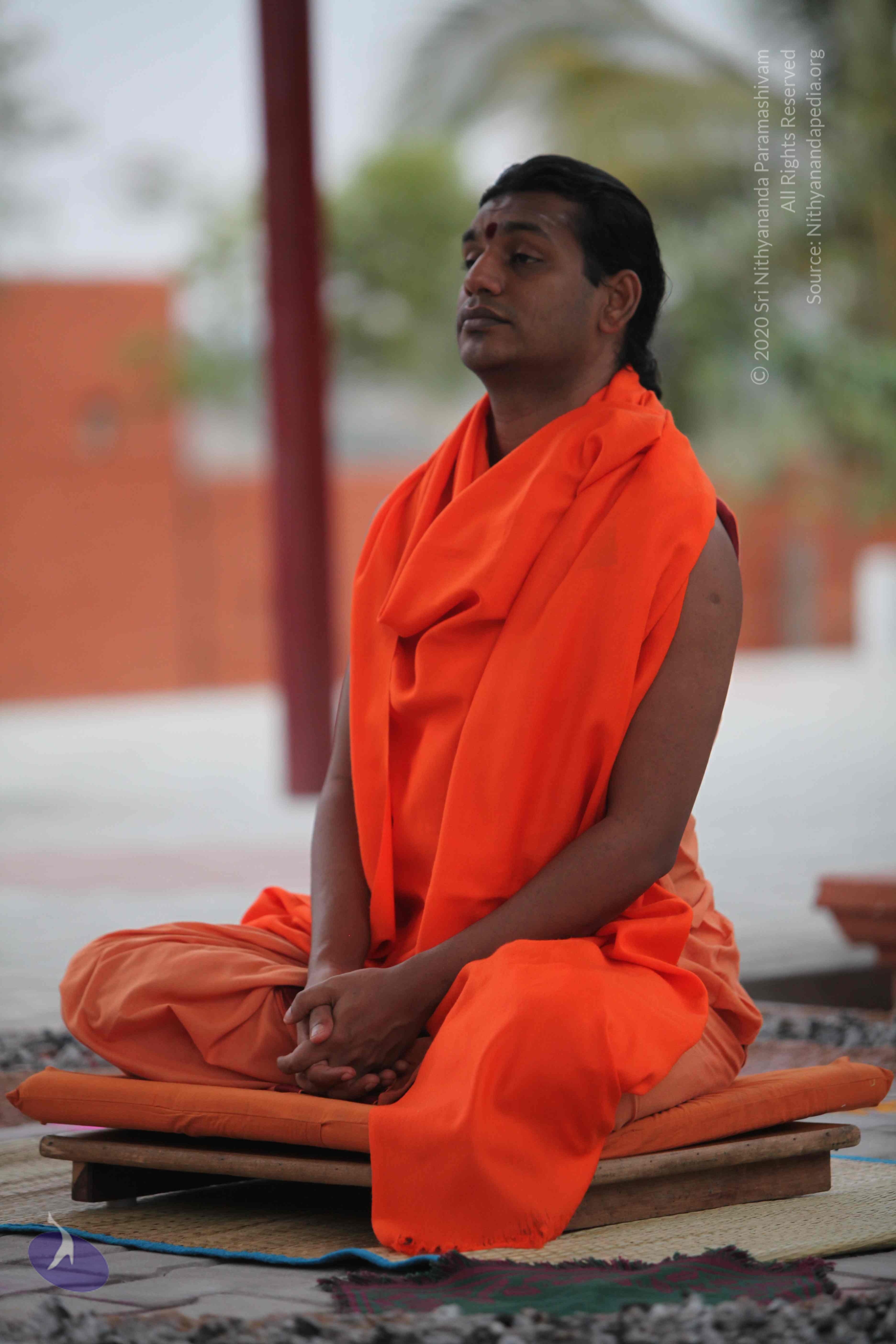 20110222_Photo_1010_IMG_9015_CMP_WM