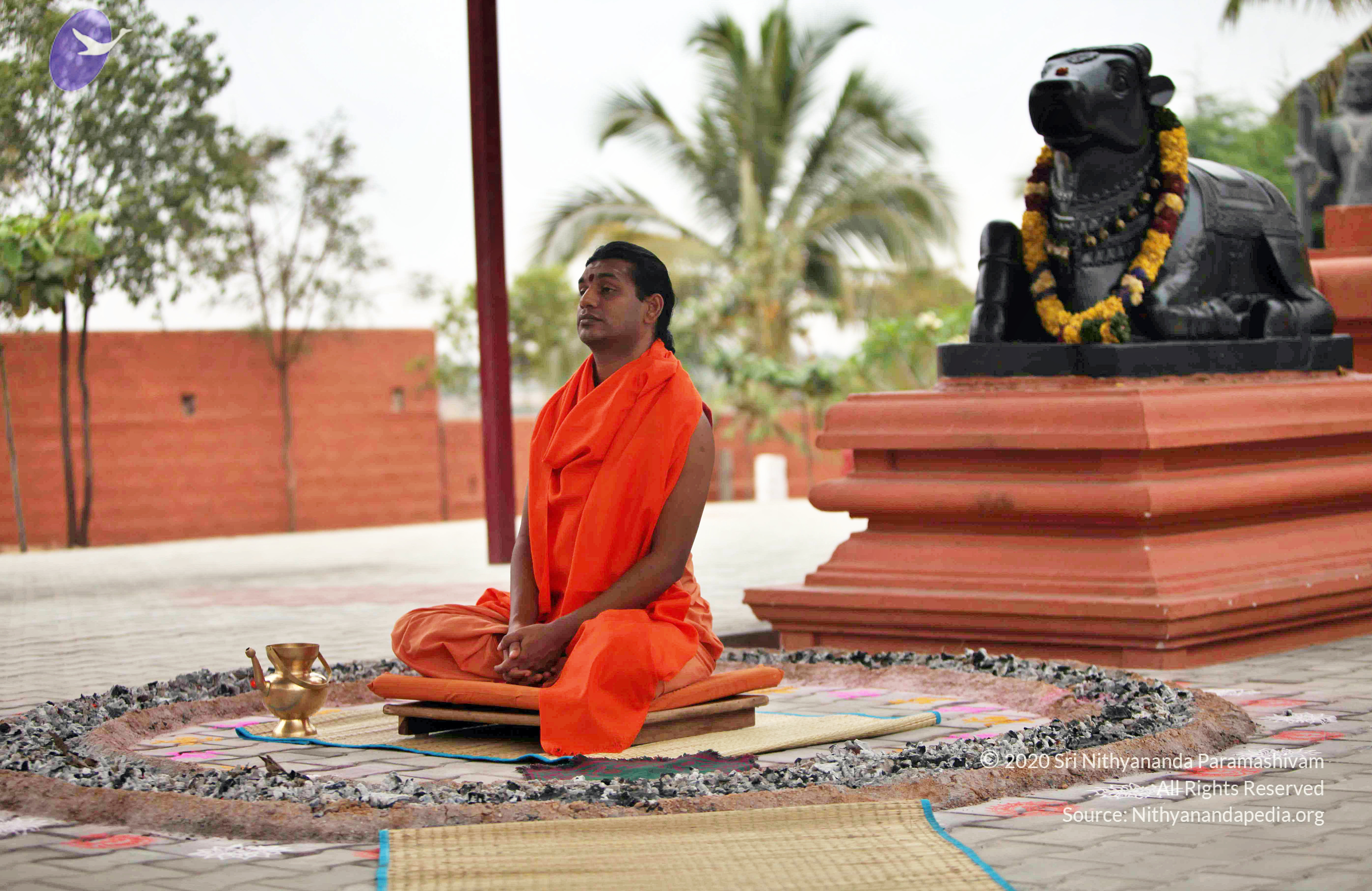 20110222_Photo_1012_IMG_9018_CMP_WM