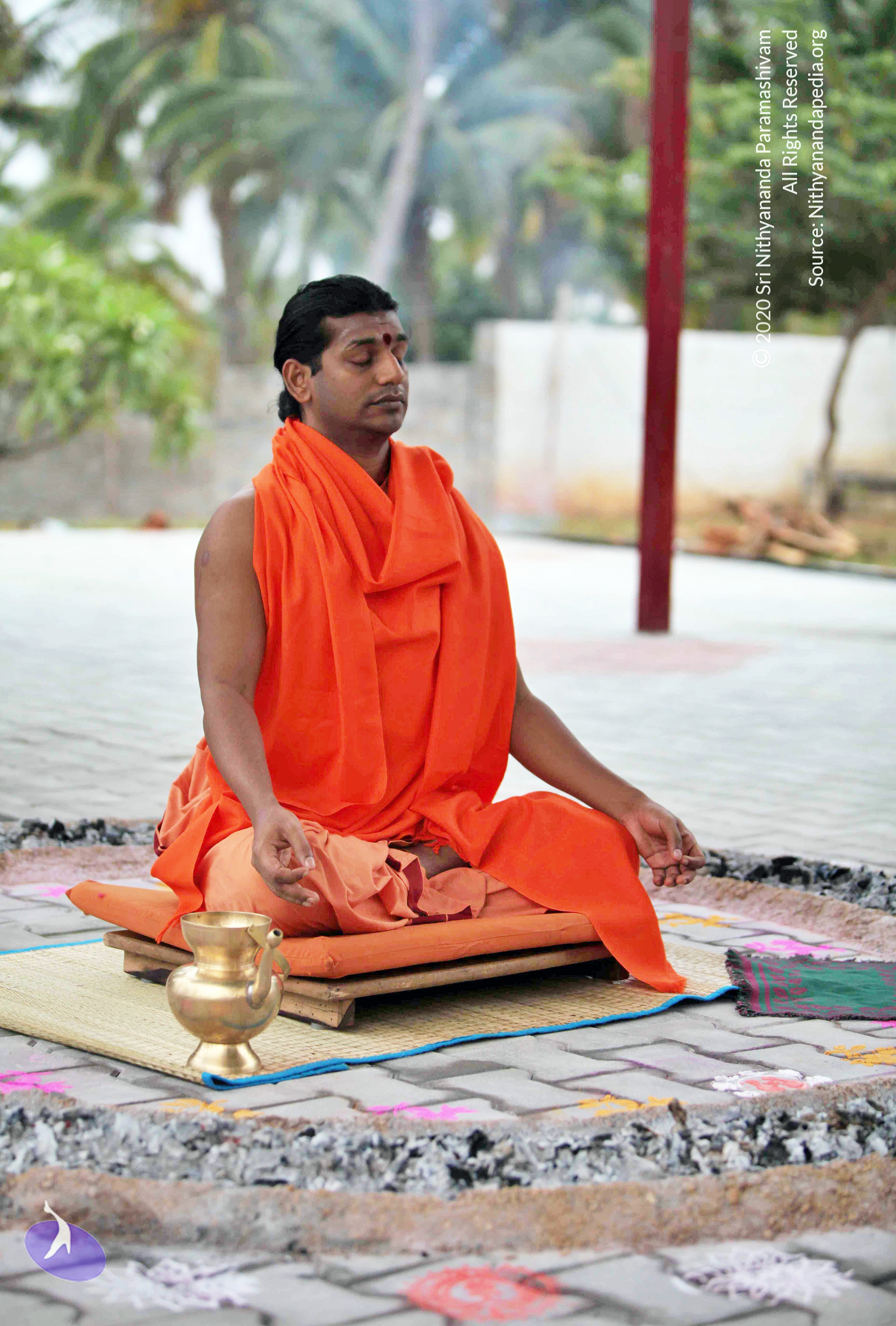 20110222_Photo_1013_IMG_9004_CMP_WM