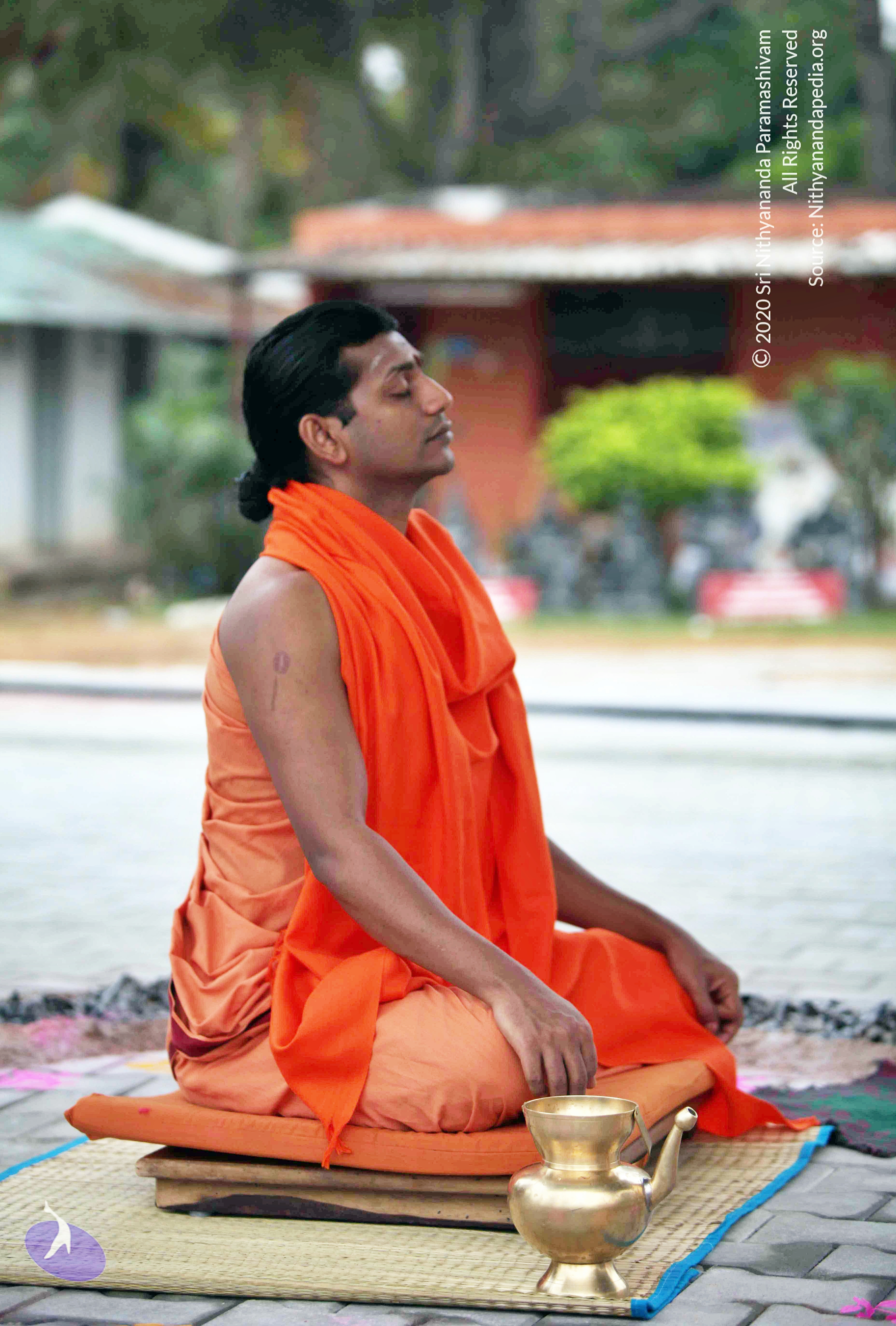 20110222_Photo_1016_IMG_8993_CMP_WM