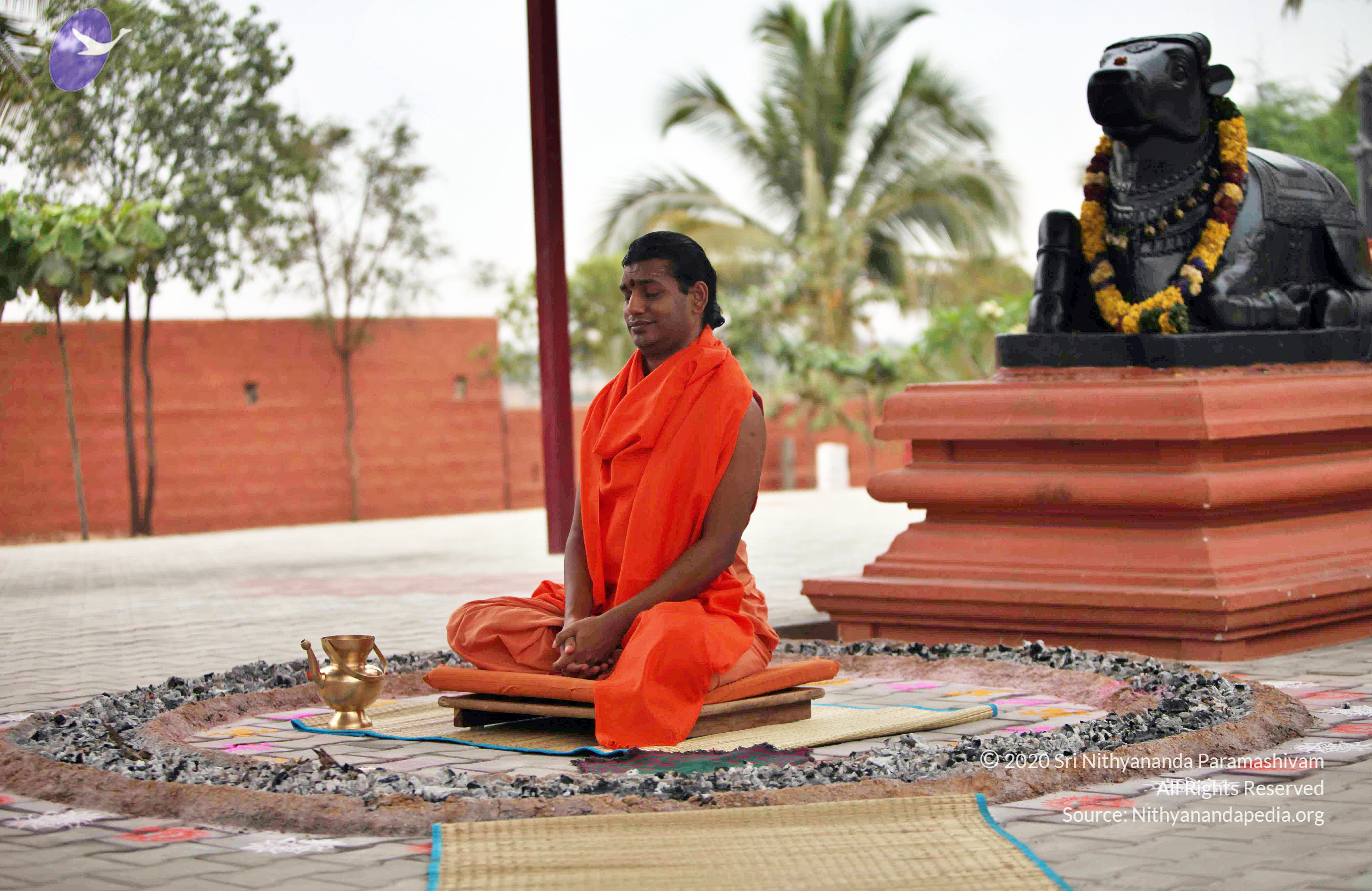 20110222_Photo_1017_IMG_9010_CMP_WM