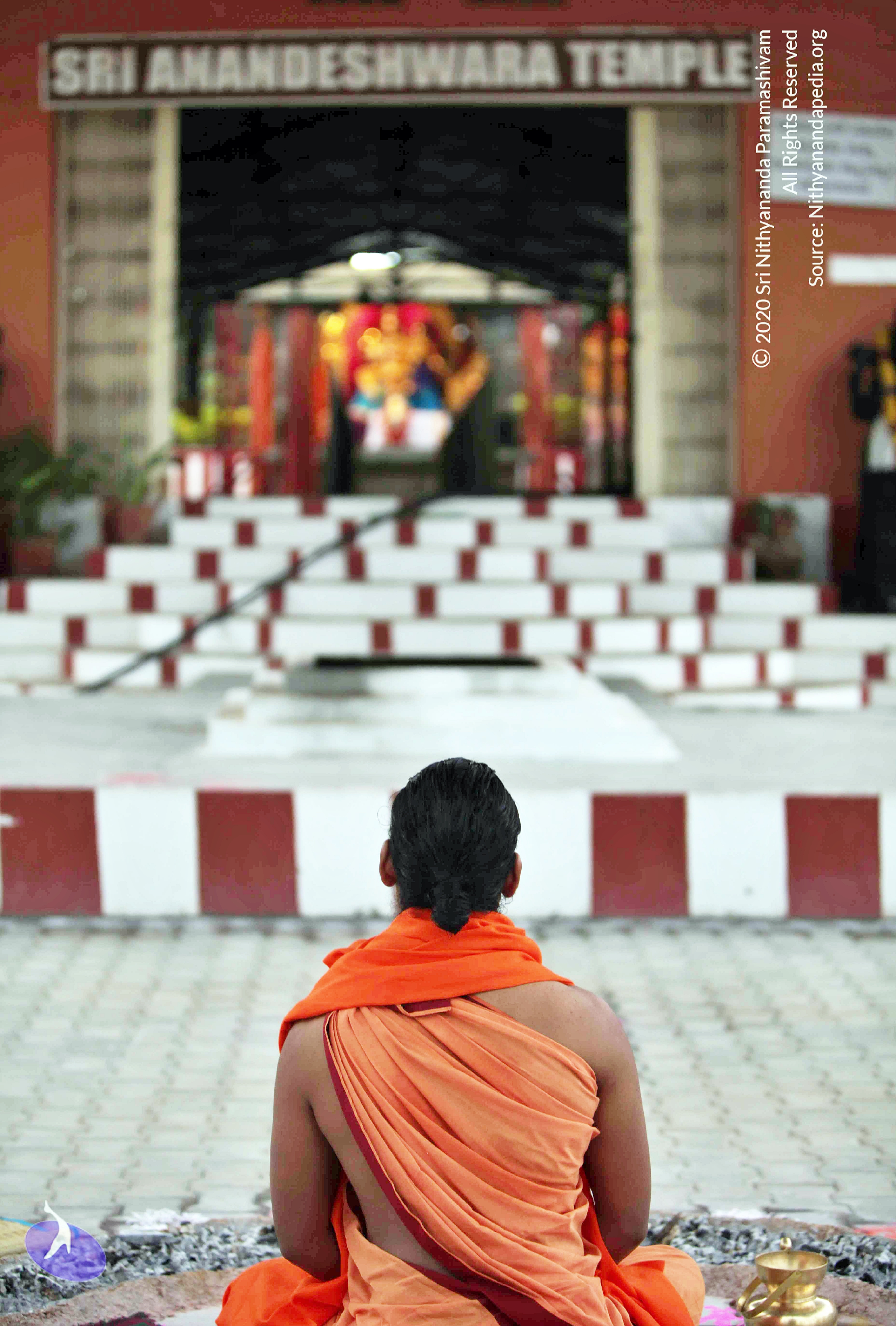 20110222_Photo_1019_IMG_9024_CMP_WM