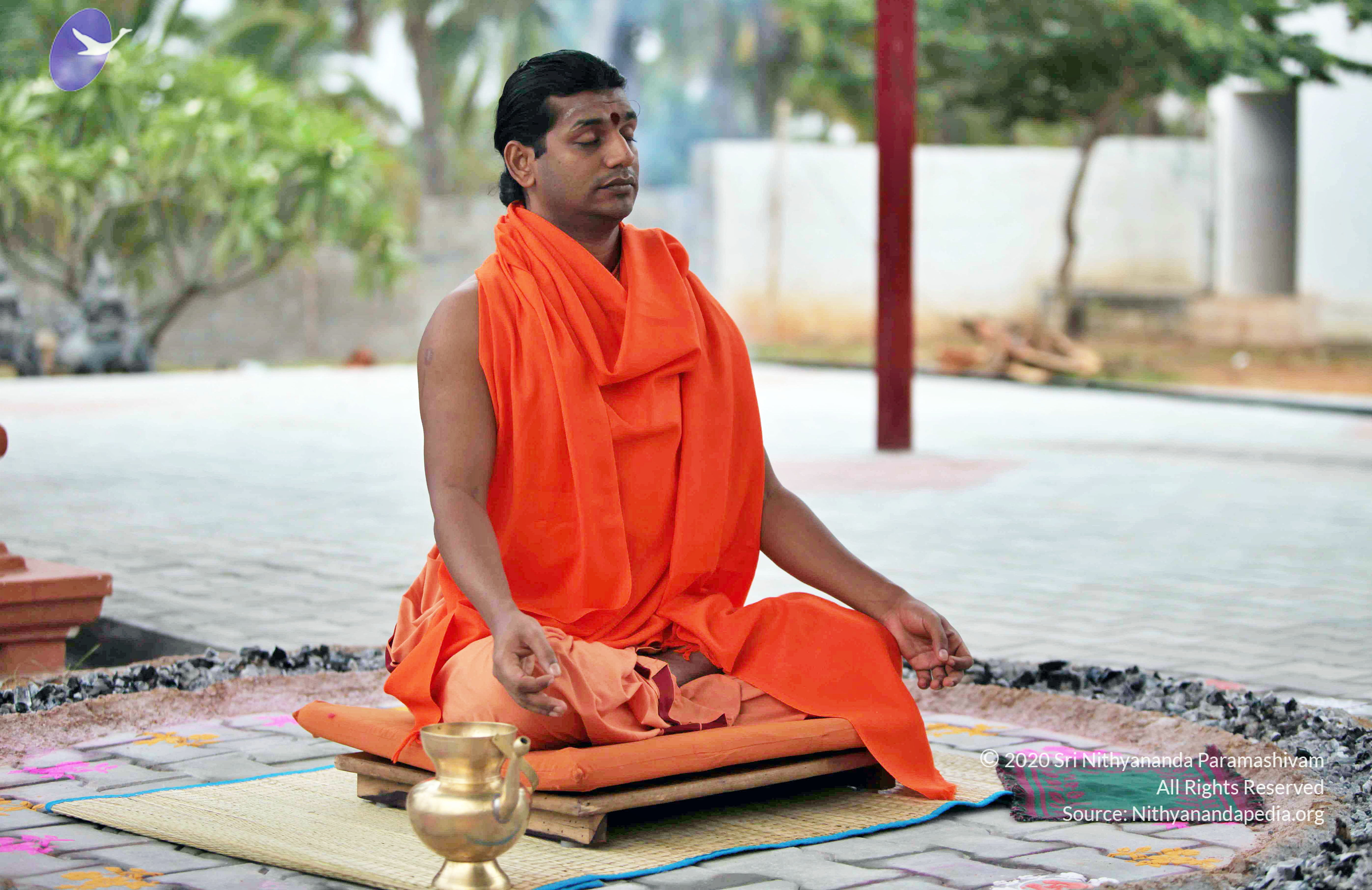 20110222_Photo_1021_IMG_8998_CMP_WM