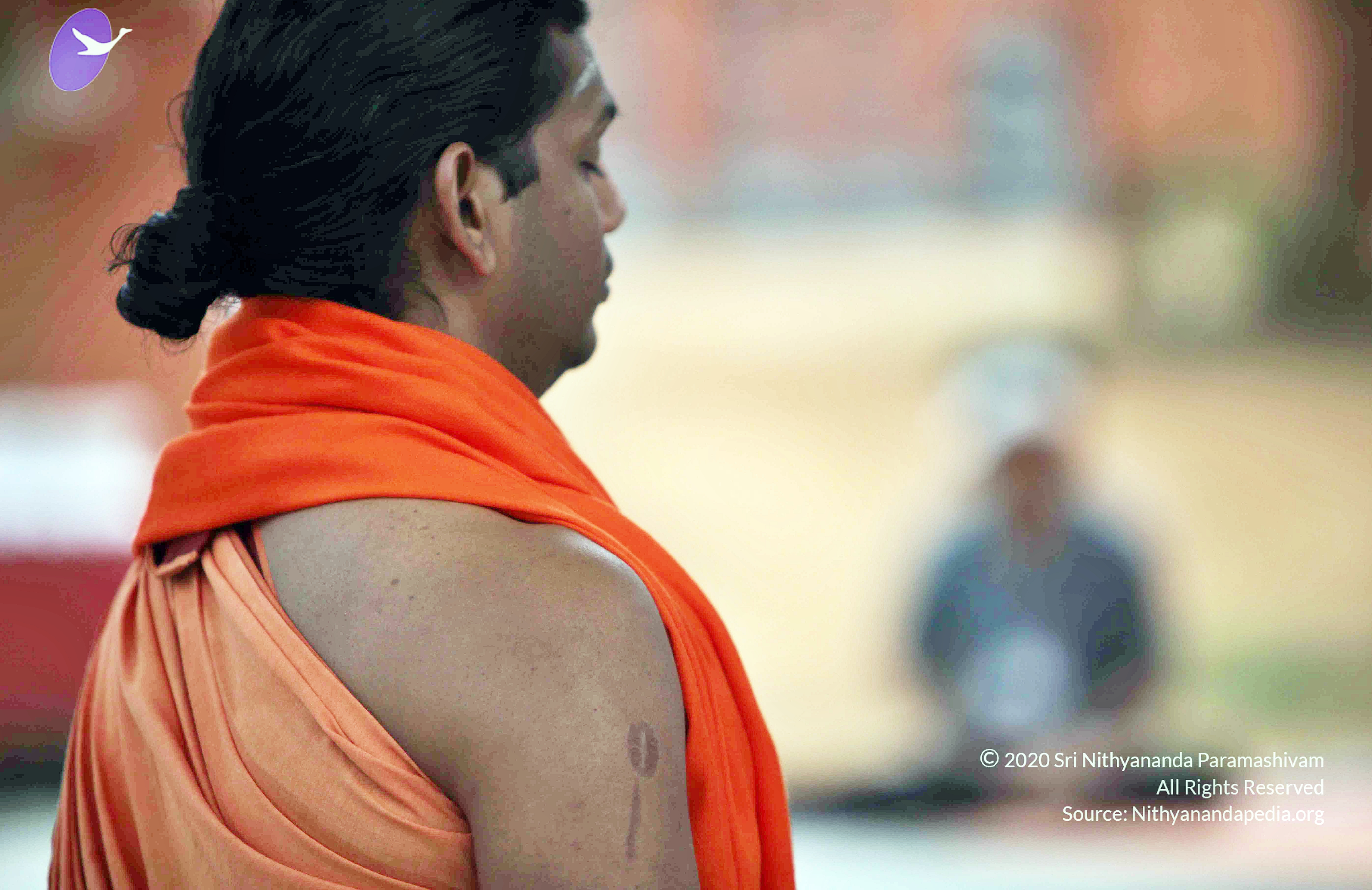 20110222_Photo_1023_IMG_9021_CMP_WM