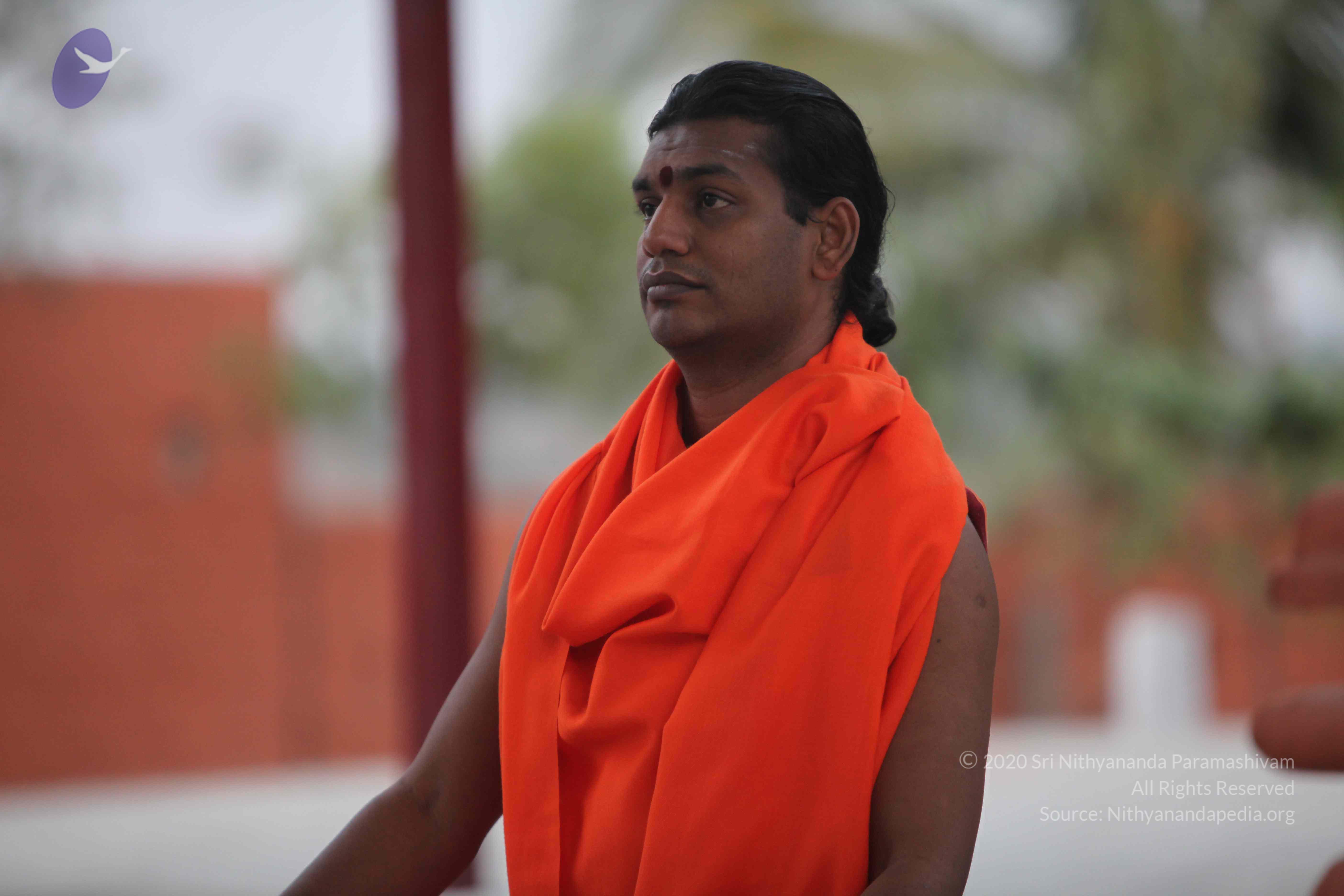 20110222_Photo_1024_IMG_9007_CMP_WM