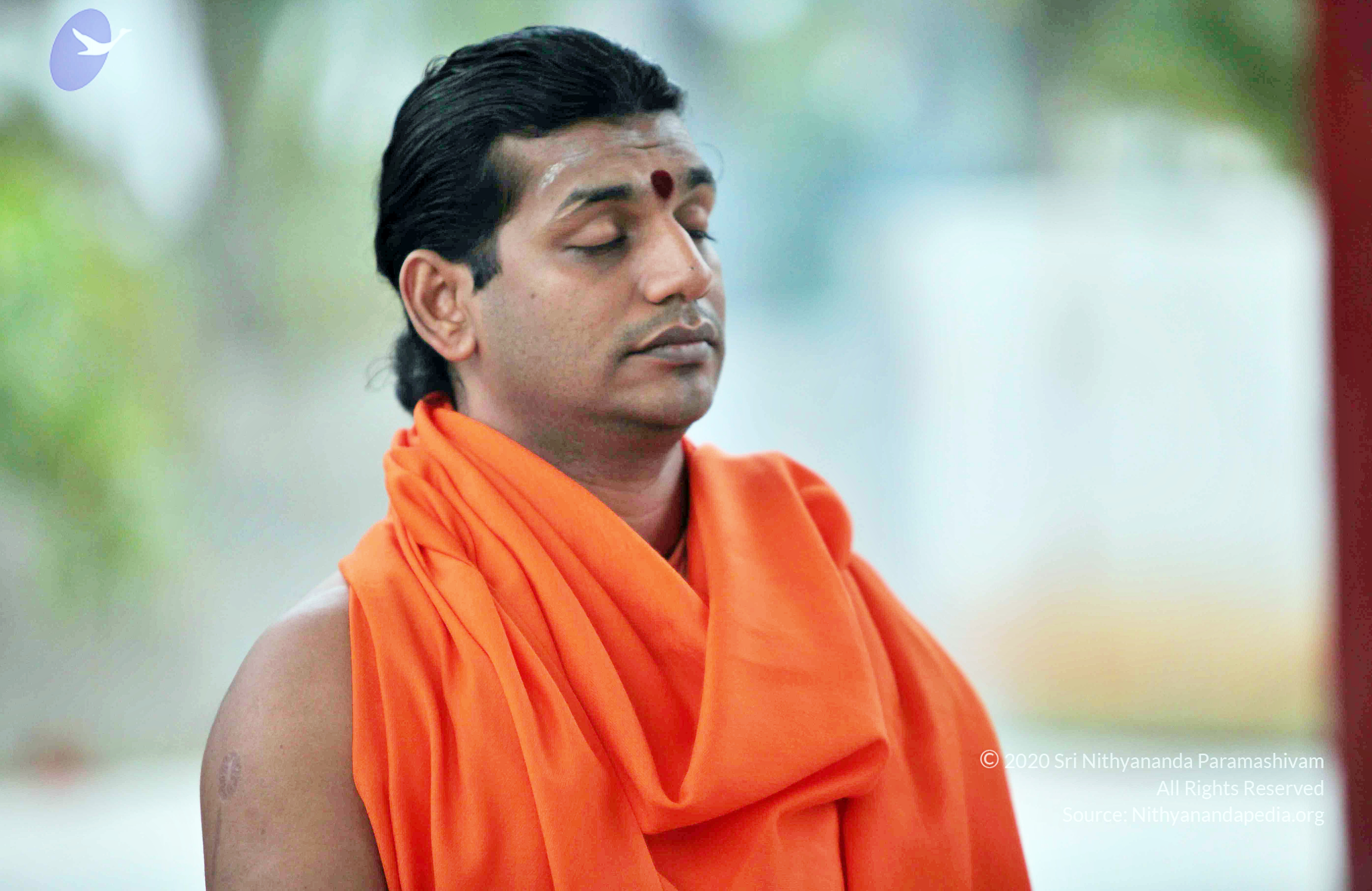 20110222_Photo_1026_IMG_9000_CMP_WM