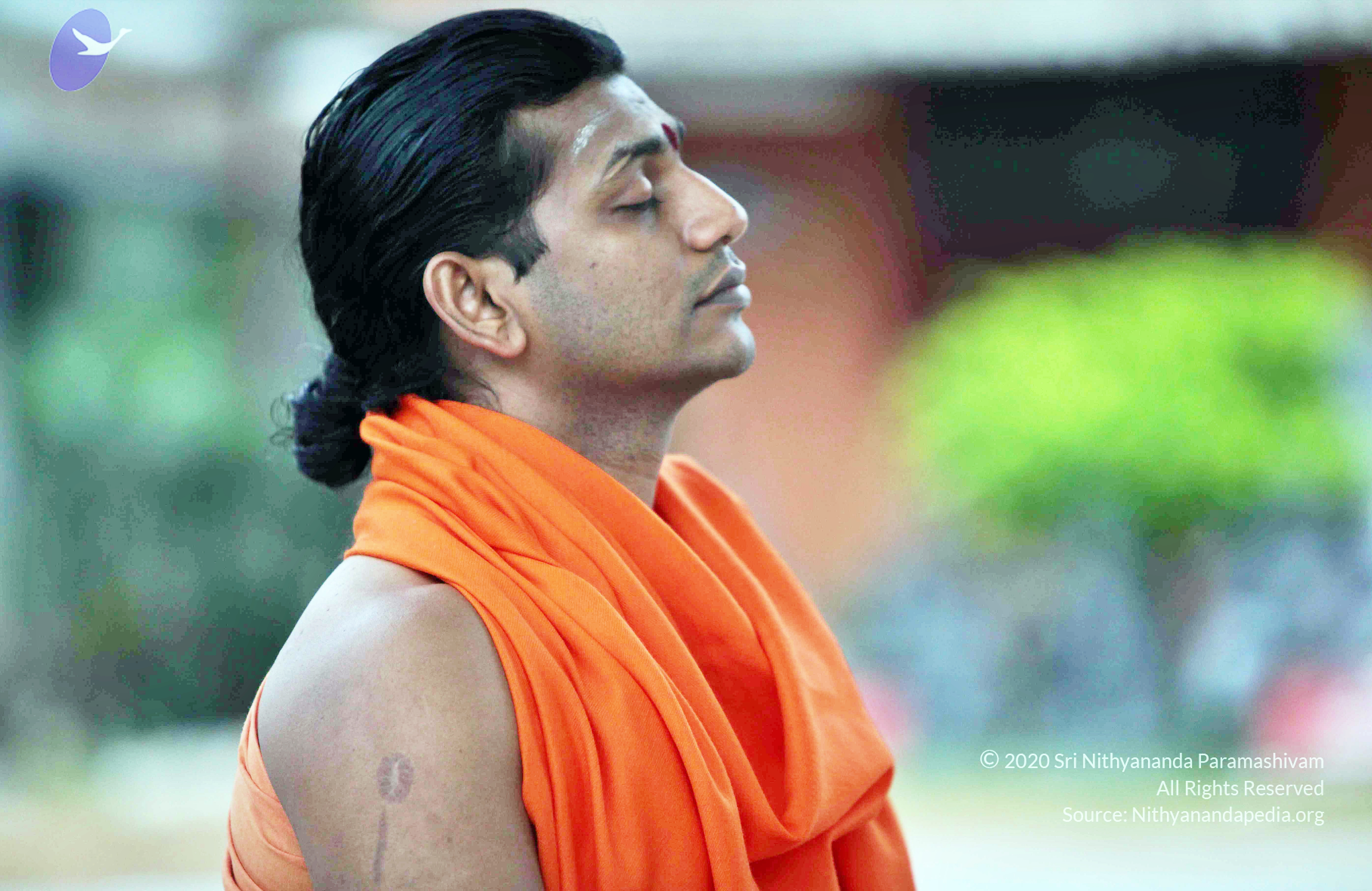 20110222_Photo_1027_IMG_8992_CMP_WM