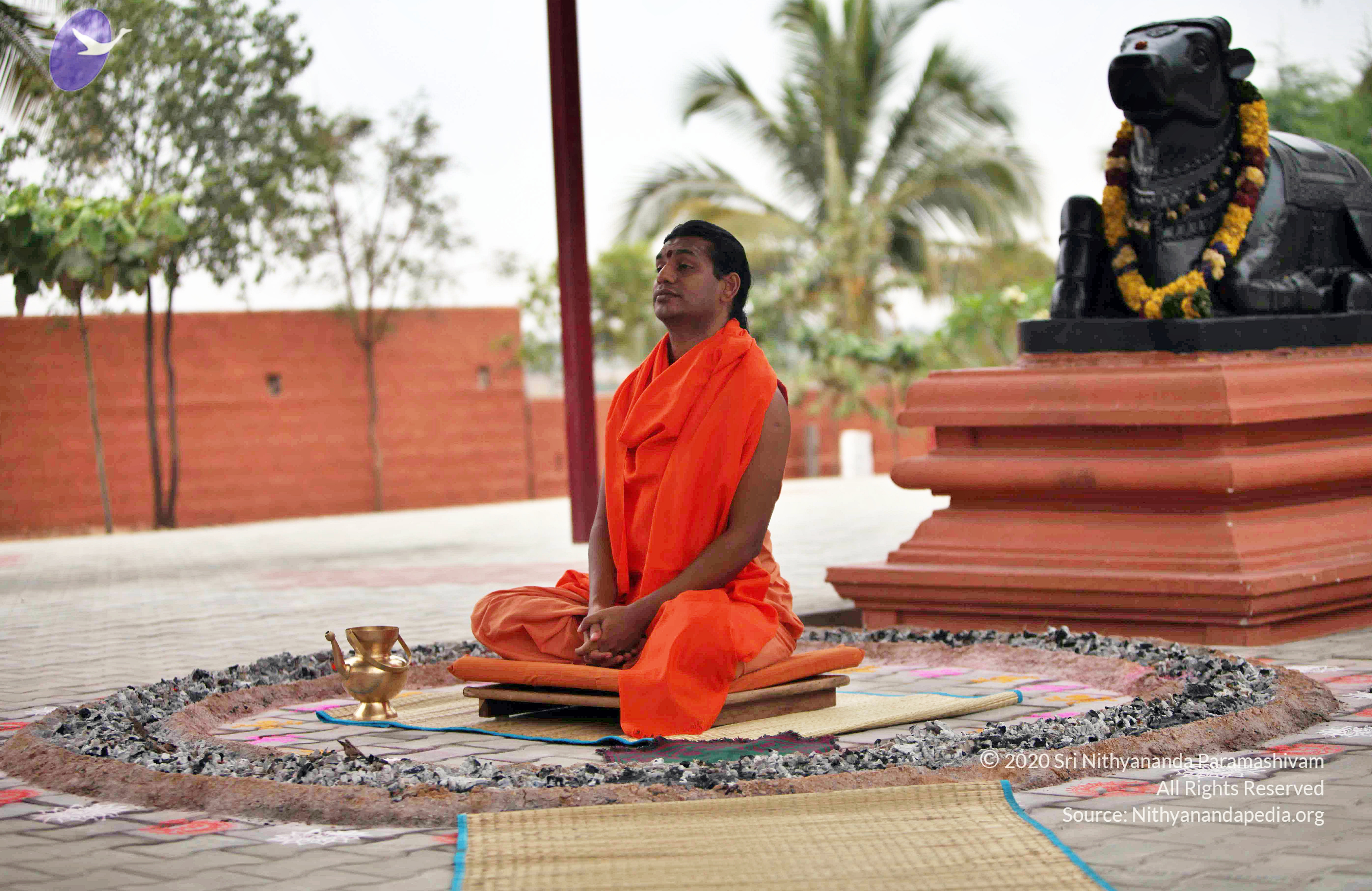 20110222_Photo_1028_IMG_9011_CMP_WM