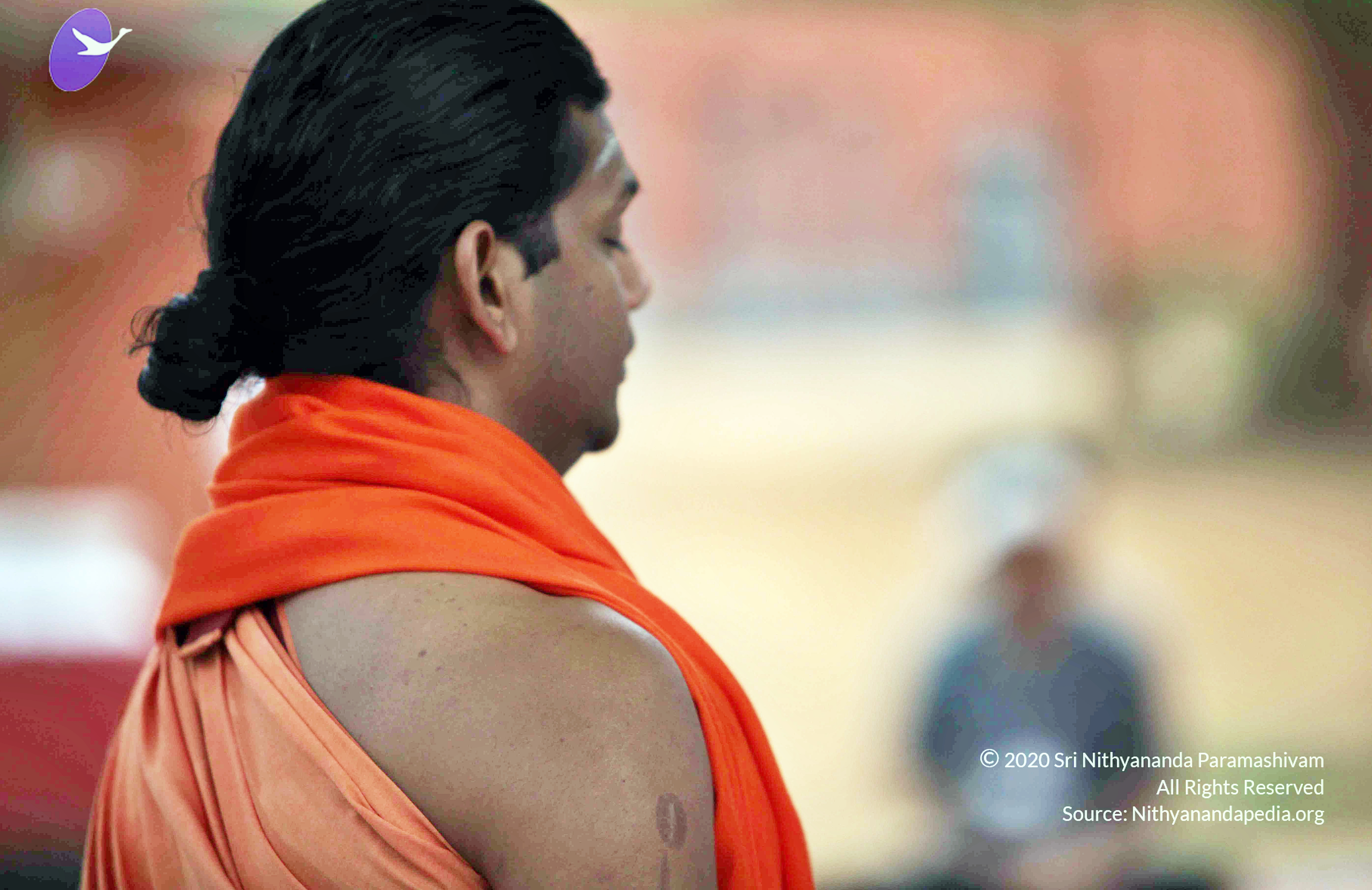 20110222_Photo_1029_IMG_9023_CMP_WM