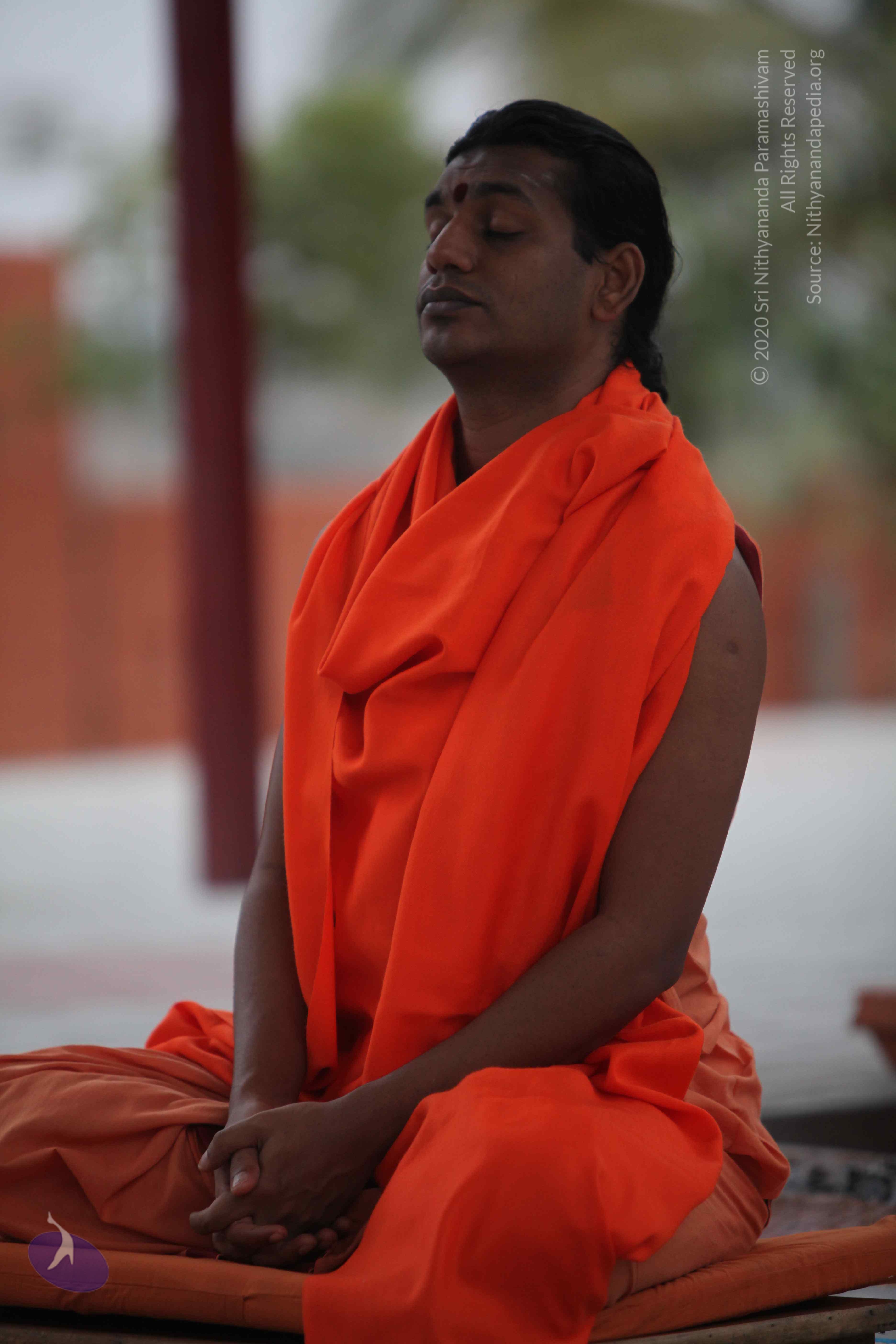 20110222_Photo_1030_IMG_9014_CMP_WM