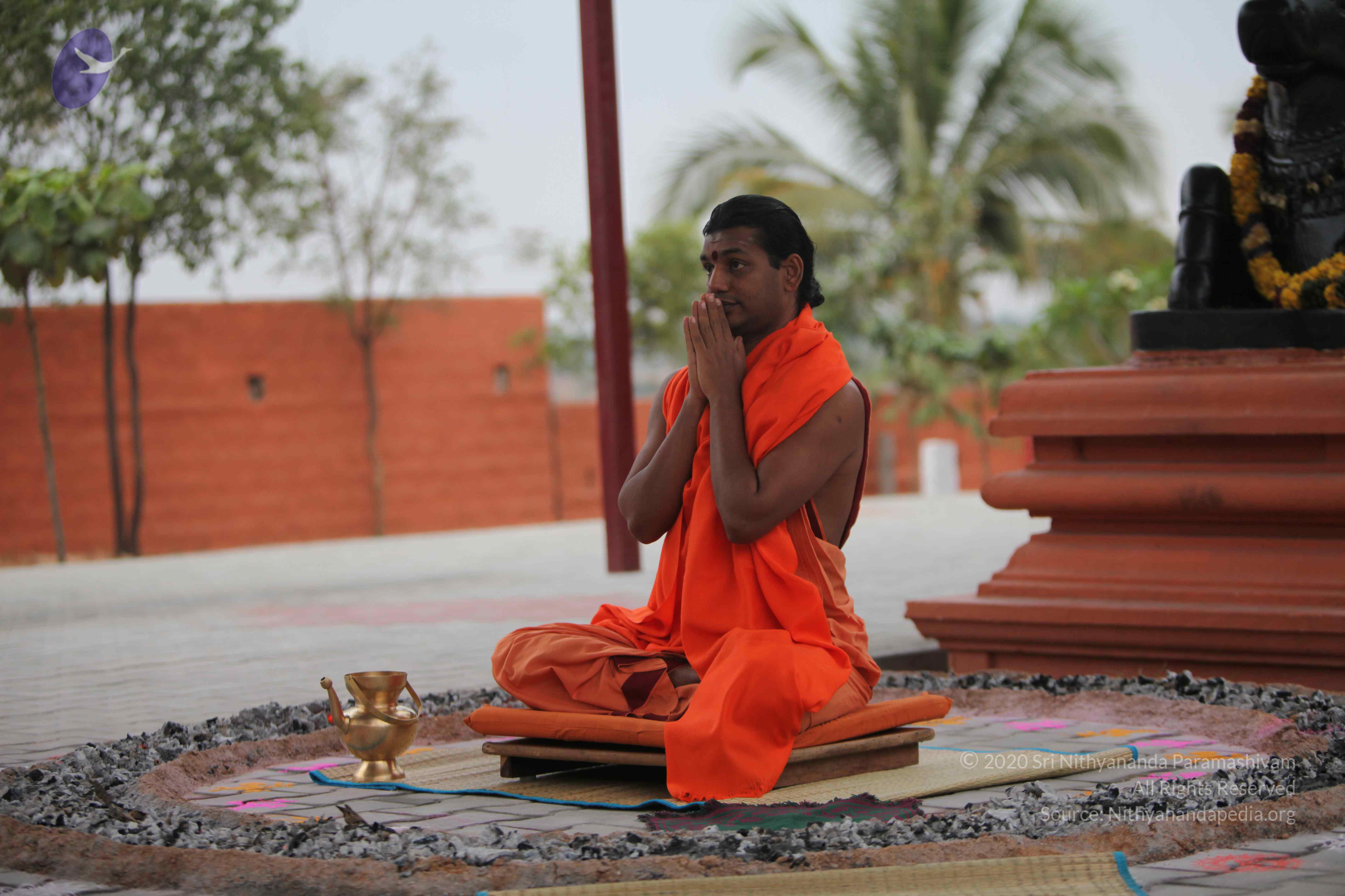 20110222_Photo_1031_IMG_9008_CMP_WM