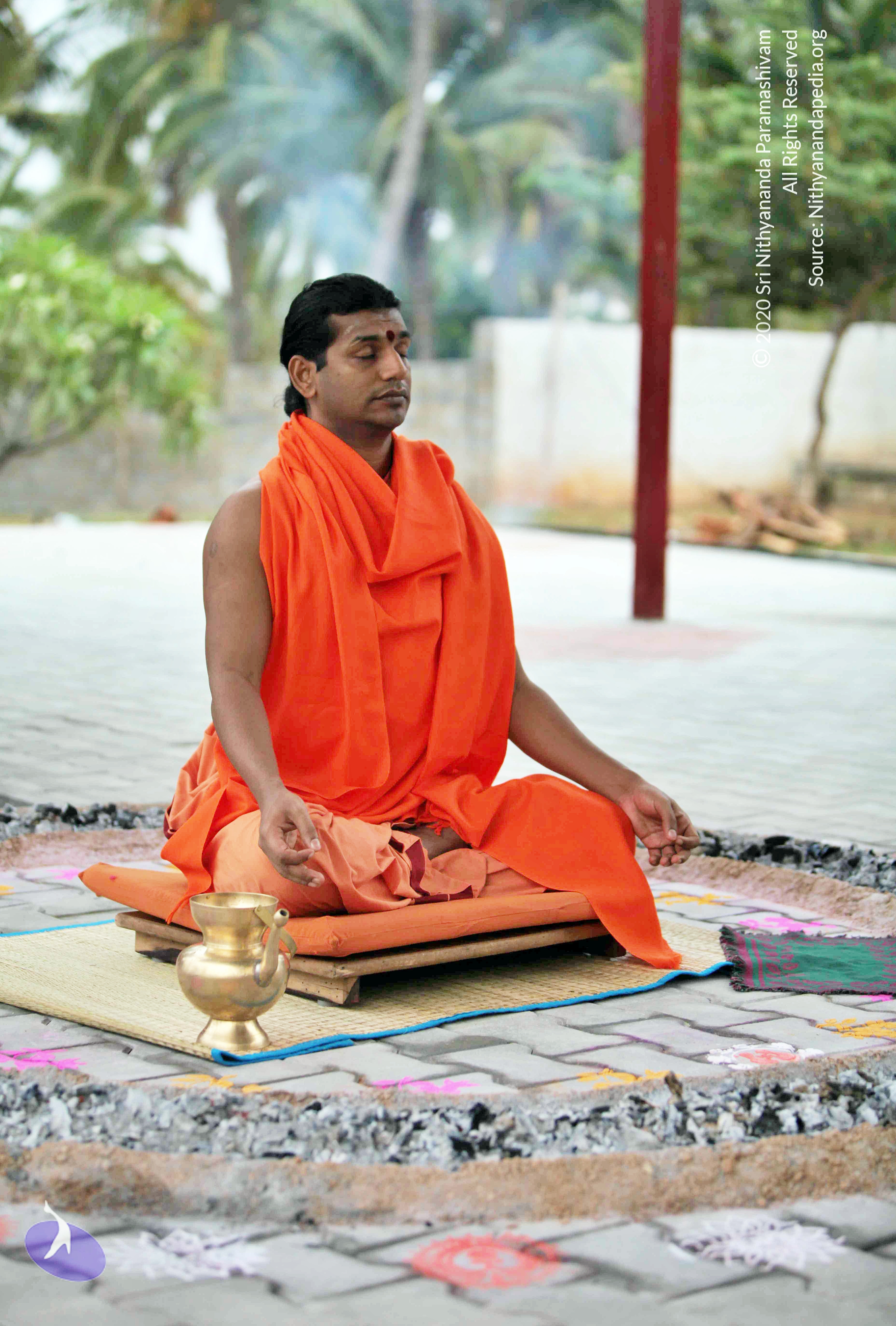 20110222_Photo_1033_IMG_9005_CMP_WM