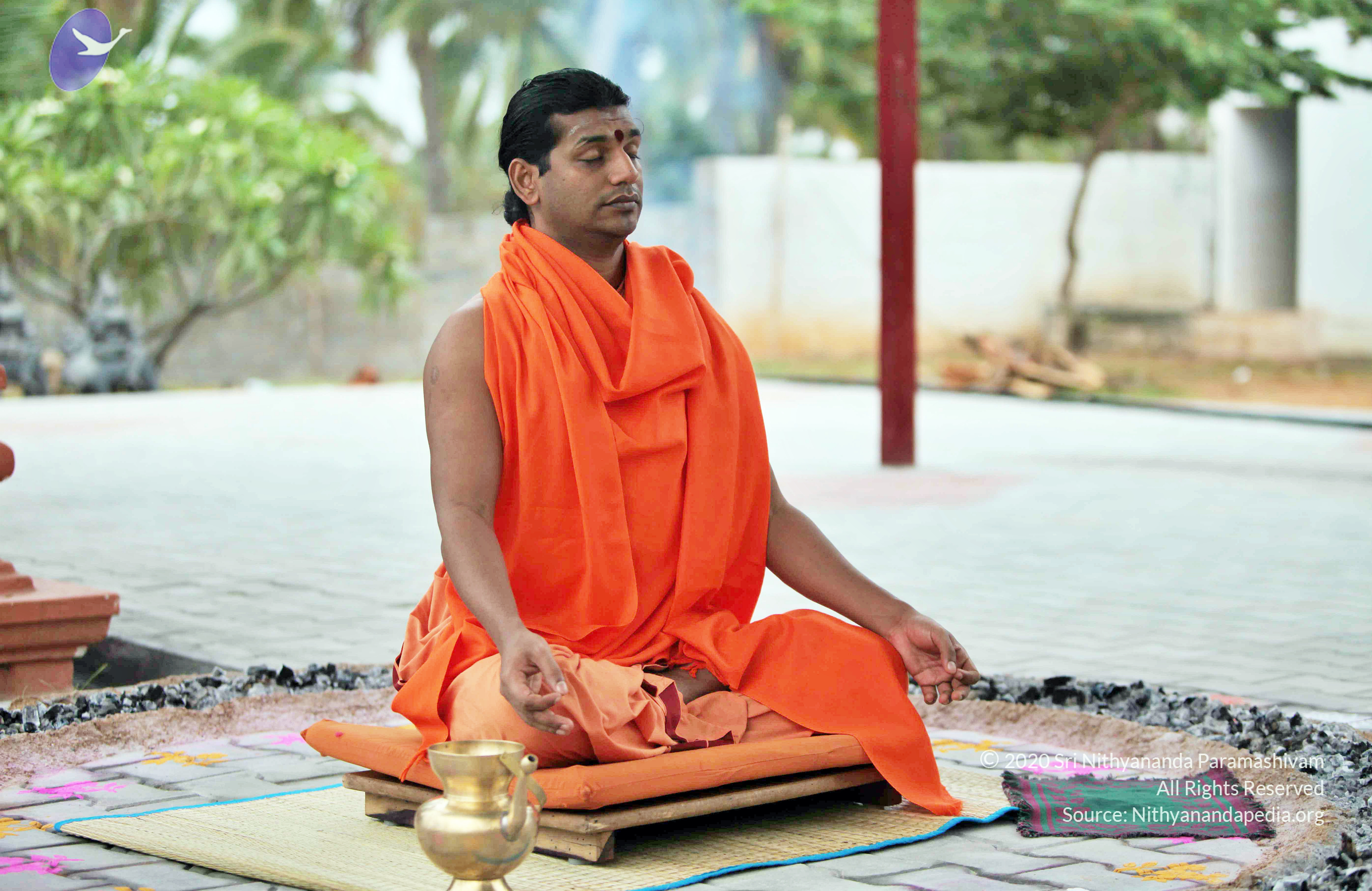 20110222_Photo_1034_IMG_8997_CMP_WM