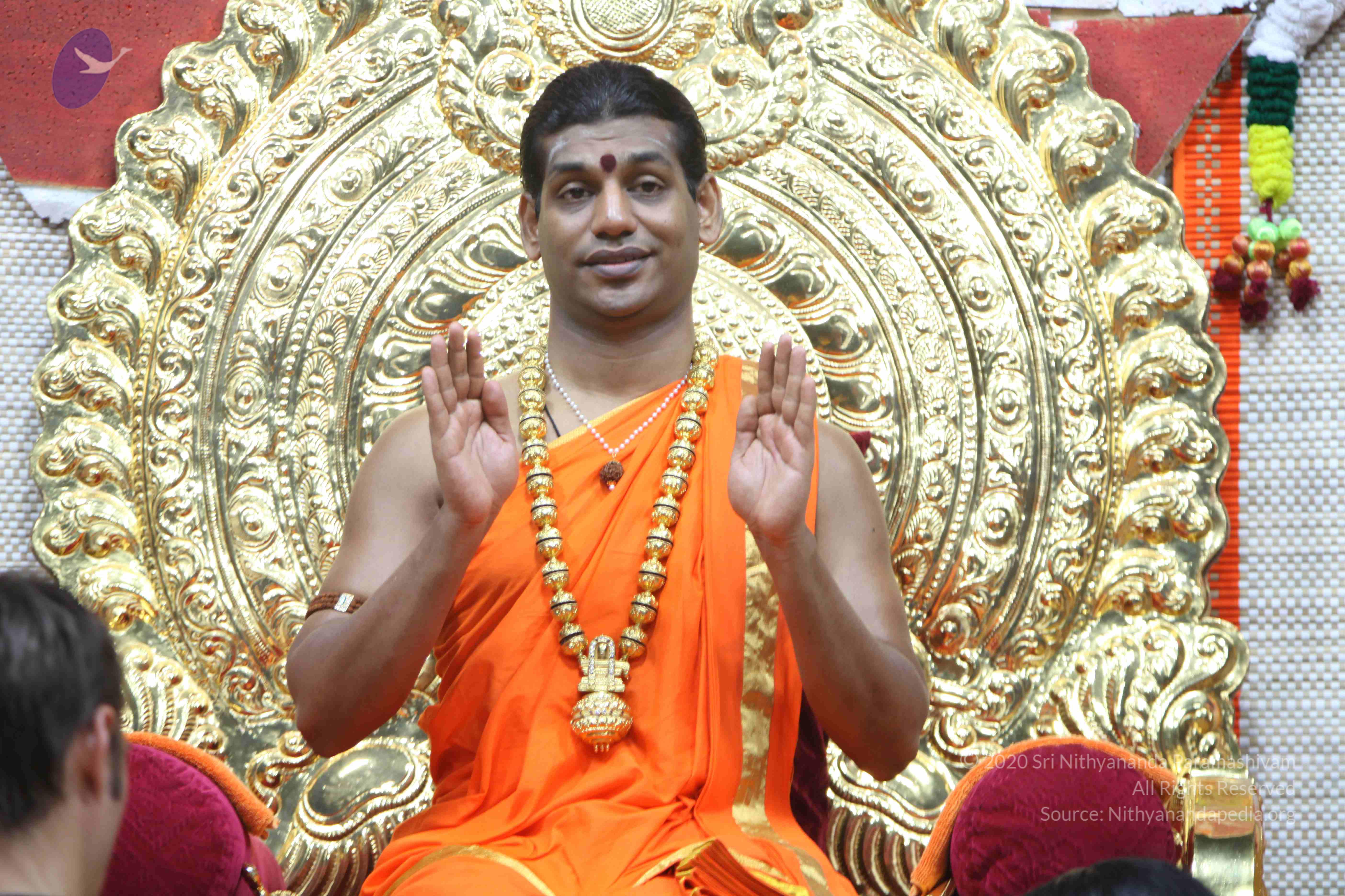 20110222_Photo_1004_IMG_9241_CMP_WM