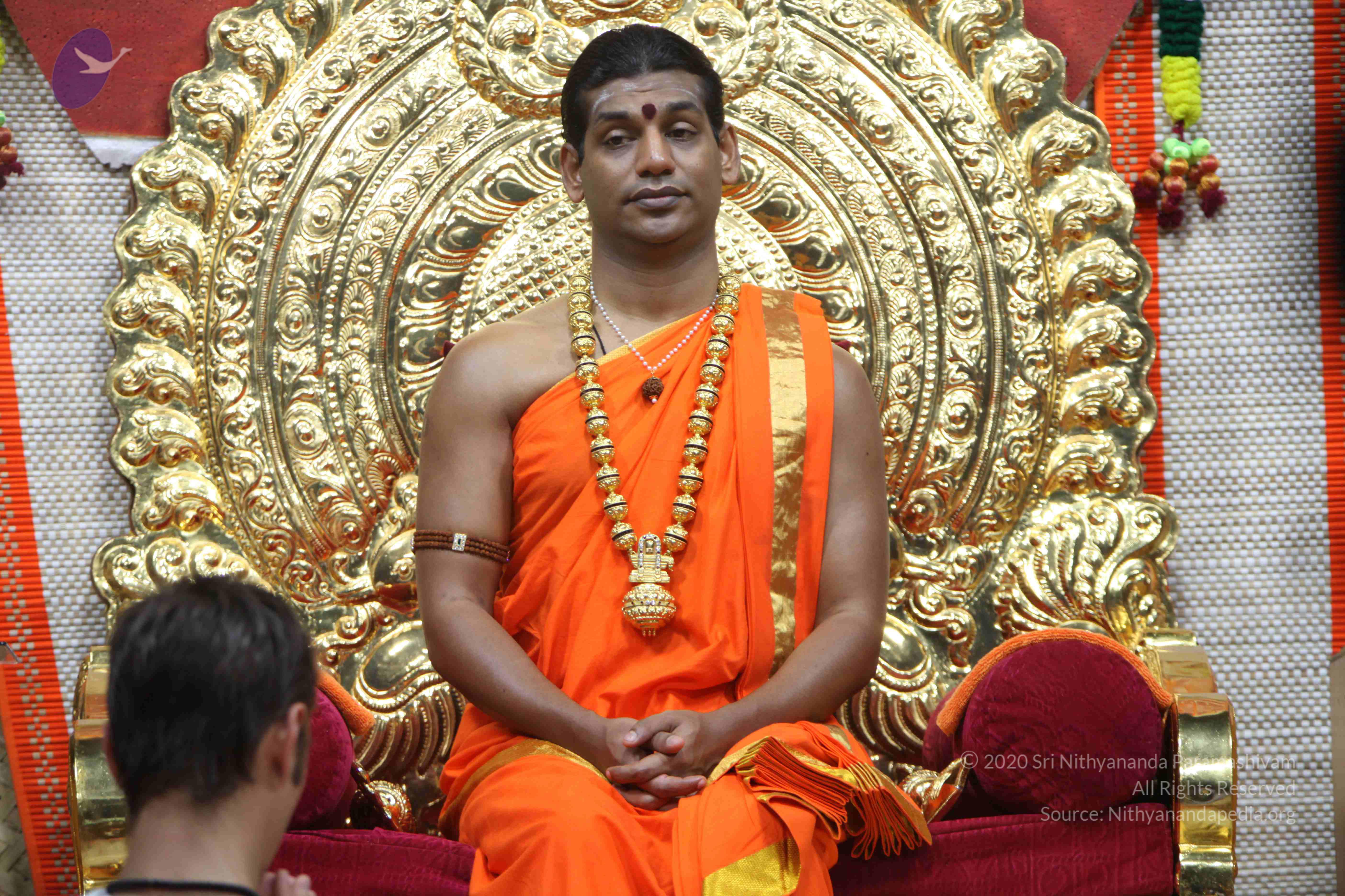 20110222_Photo_1009_IMG_9156_CMP_WM