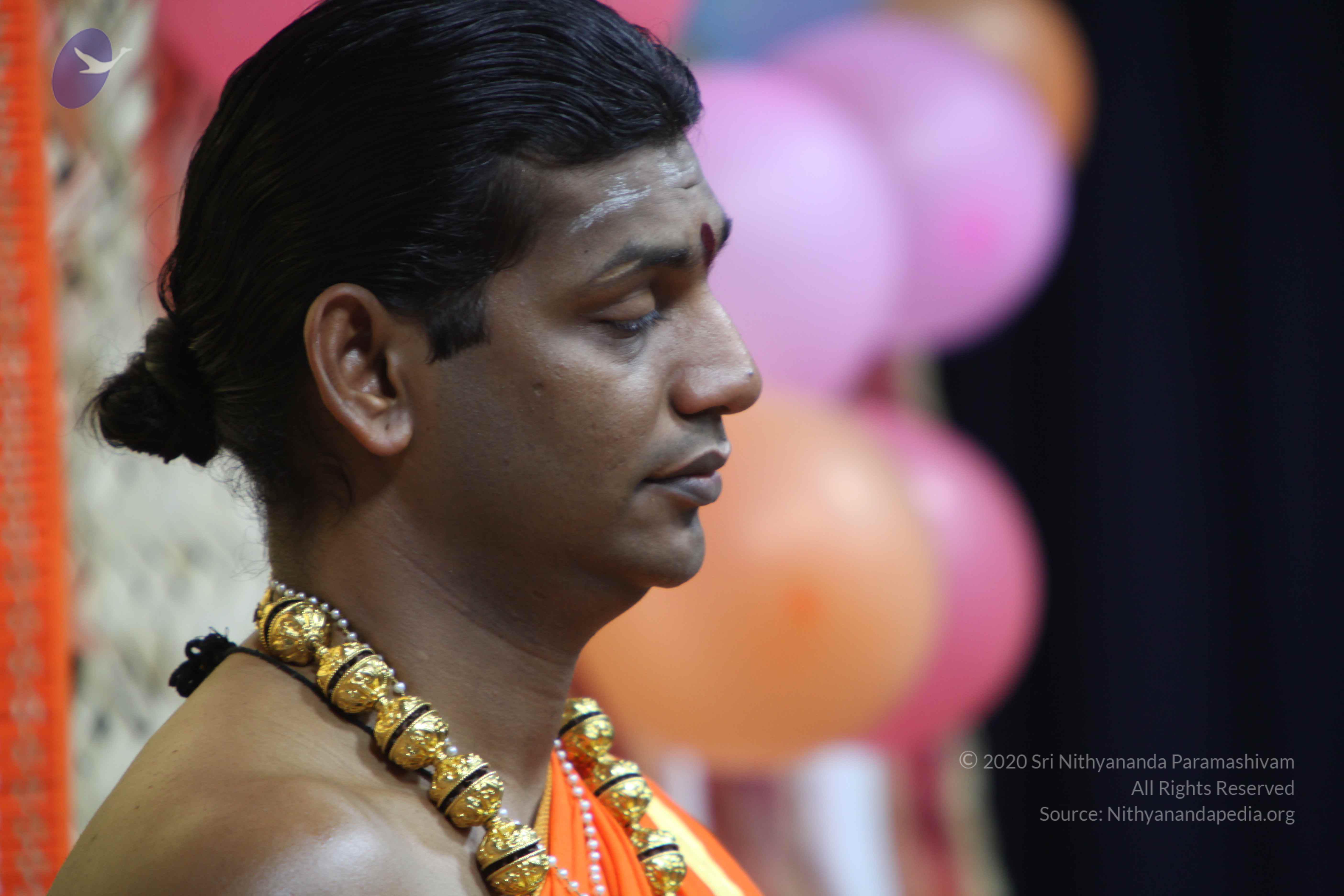 20110222_Photo_1010_IMG_9103_CMP_WM