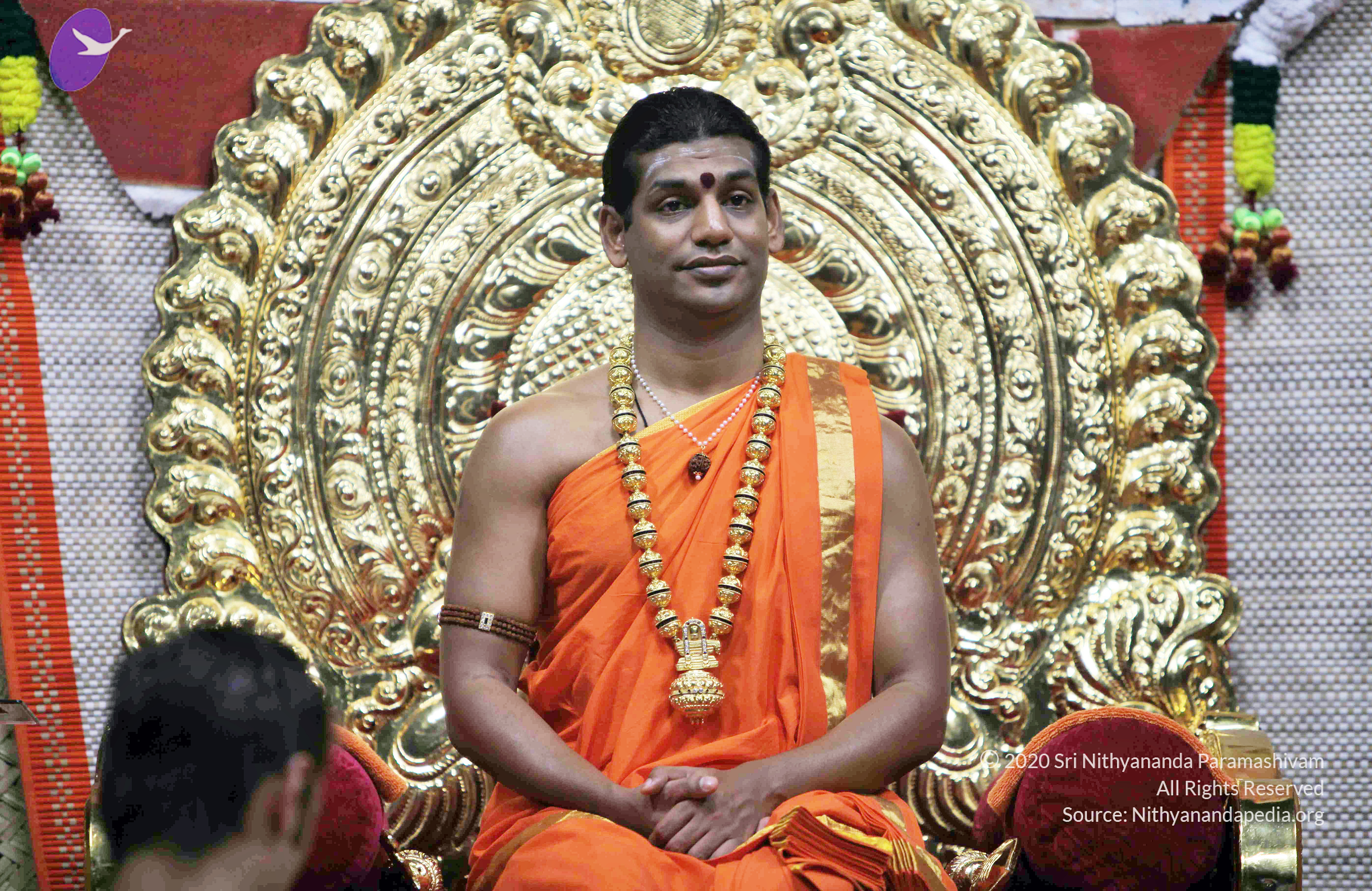 20110222_Photo_1014_IMG_9031_CMP_WM