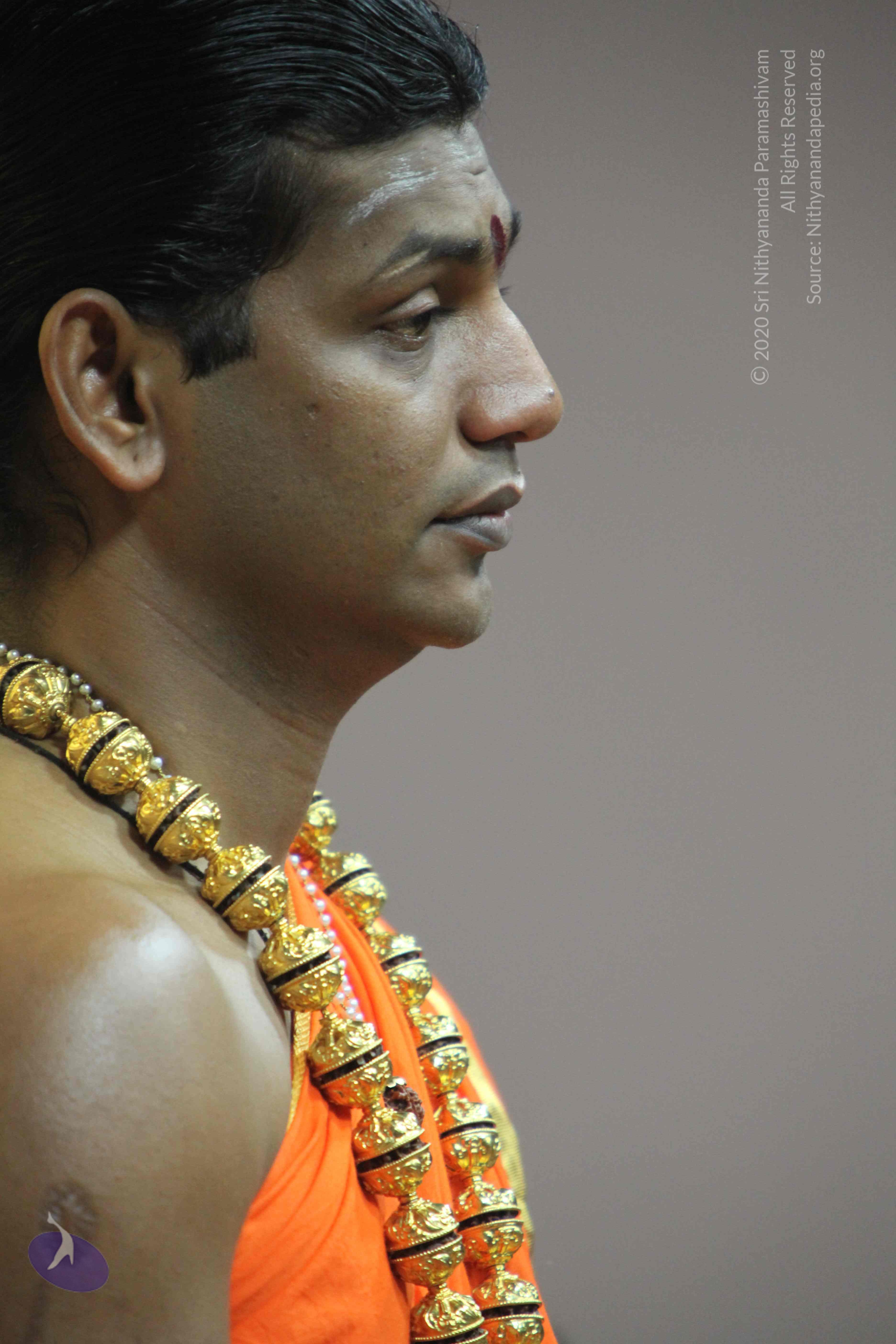 20110222_Photo_1029_IMG_9120_CMP_WM