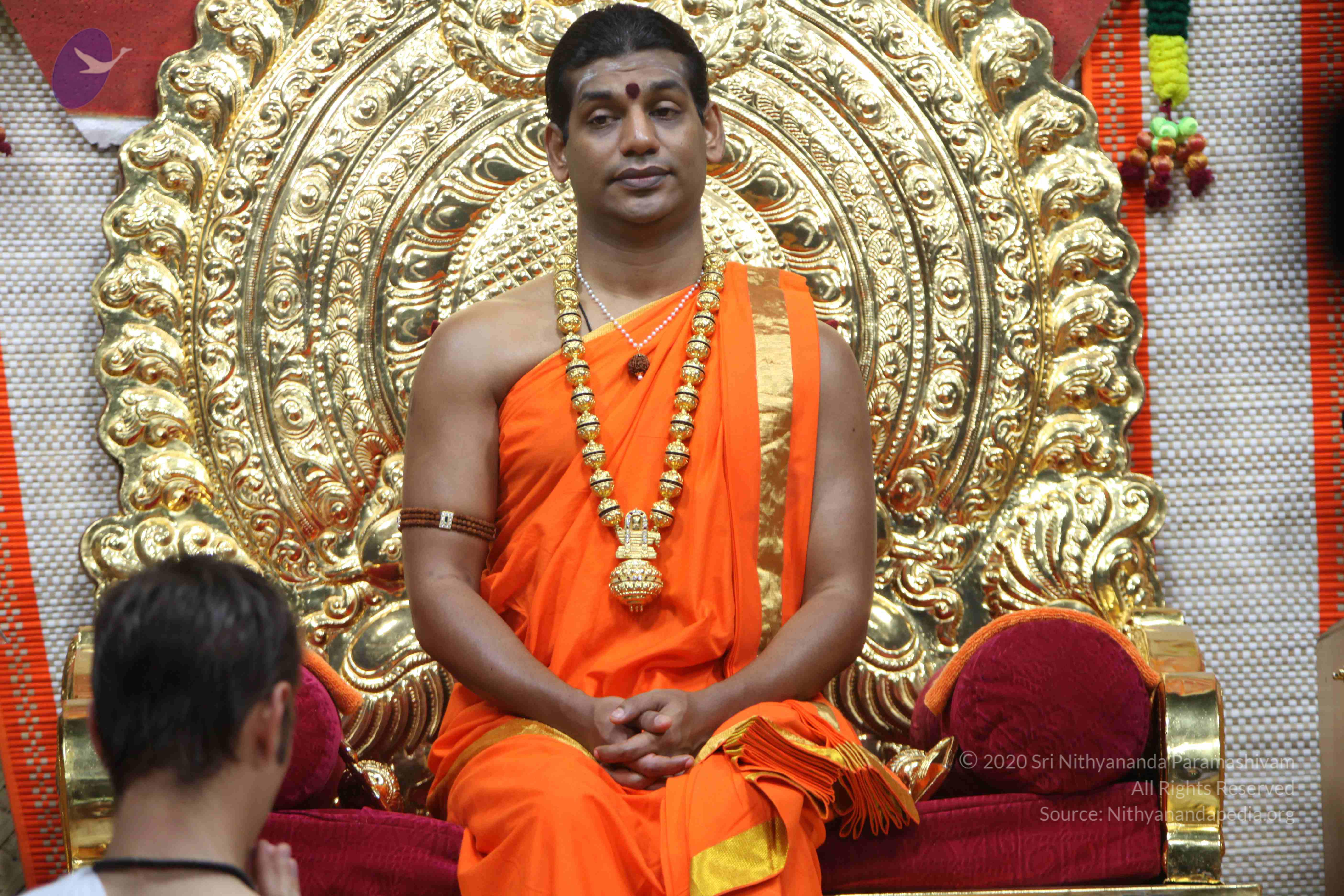 20110222_Photo_1048_IMG_9153_CMP_WM