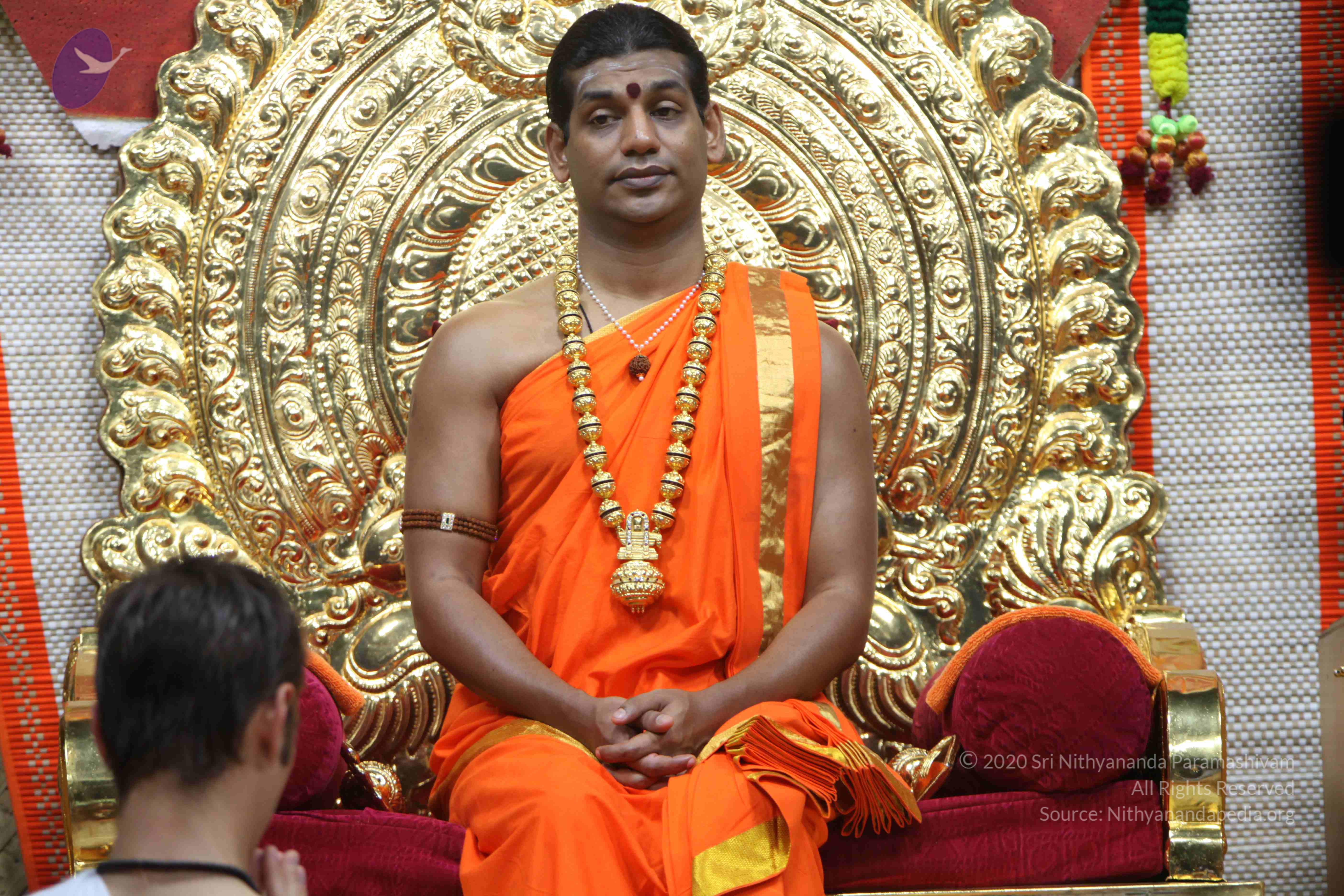 20110222_Photo_1057_IMG_9154_CMP_WM