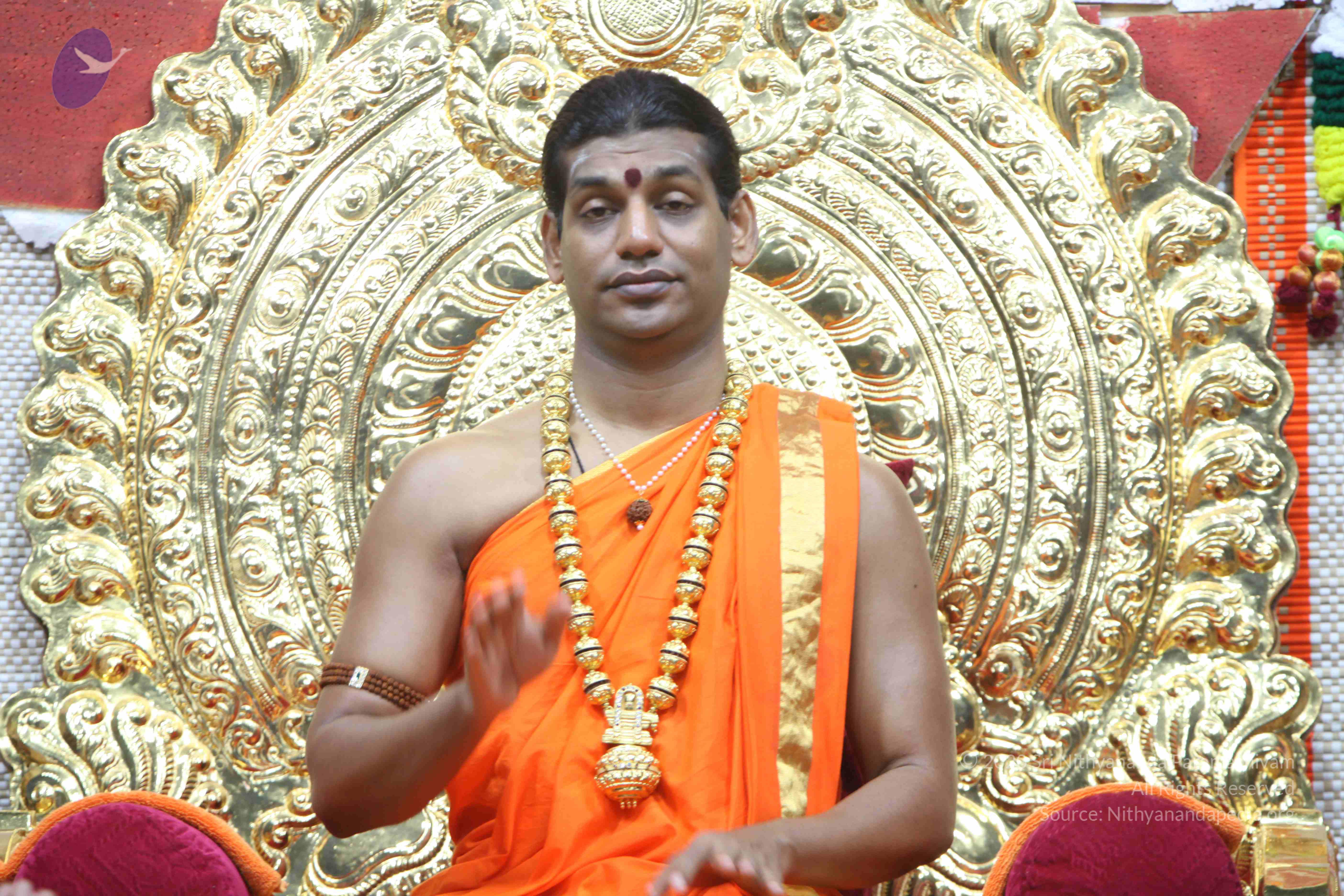 20110222_Photo_1066_IMG_9252_CMP_WM