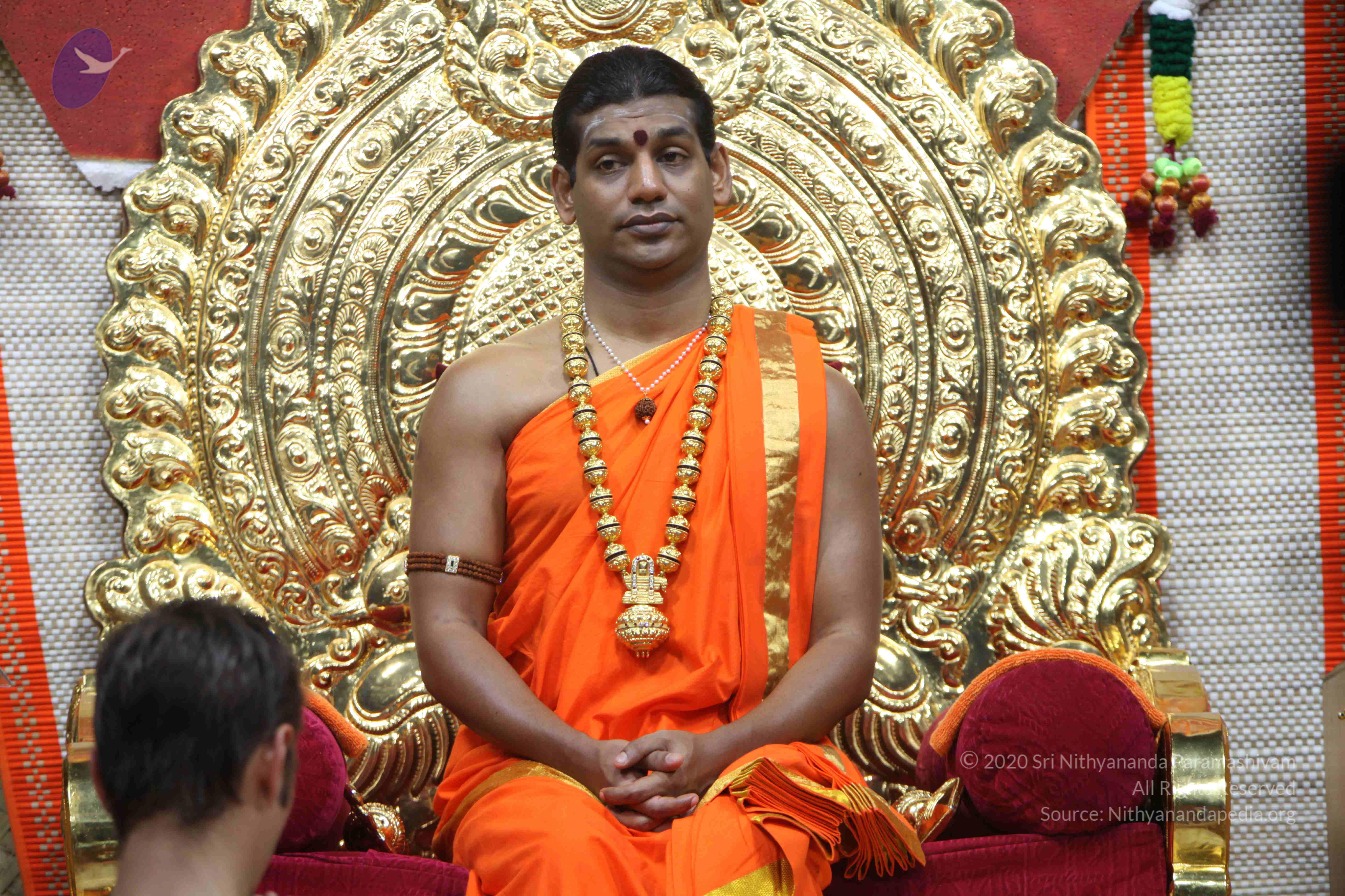 20110222_Photo_1069_IMG_9159_CMP_WM