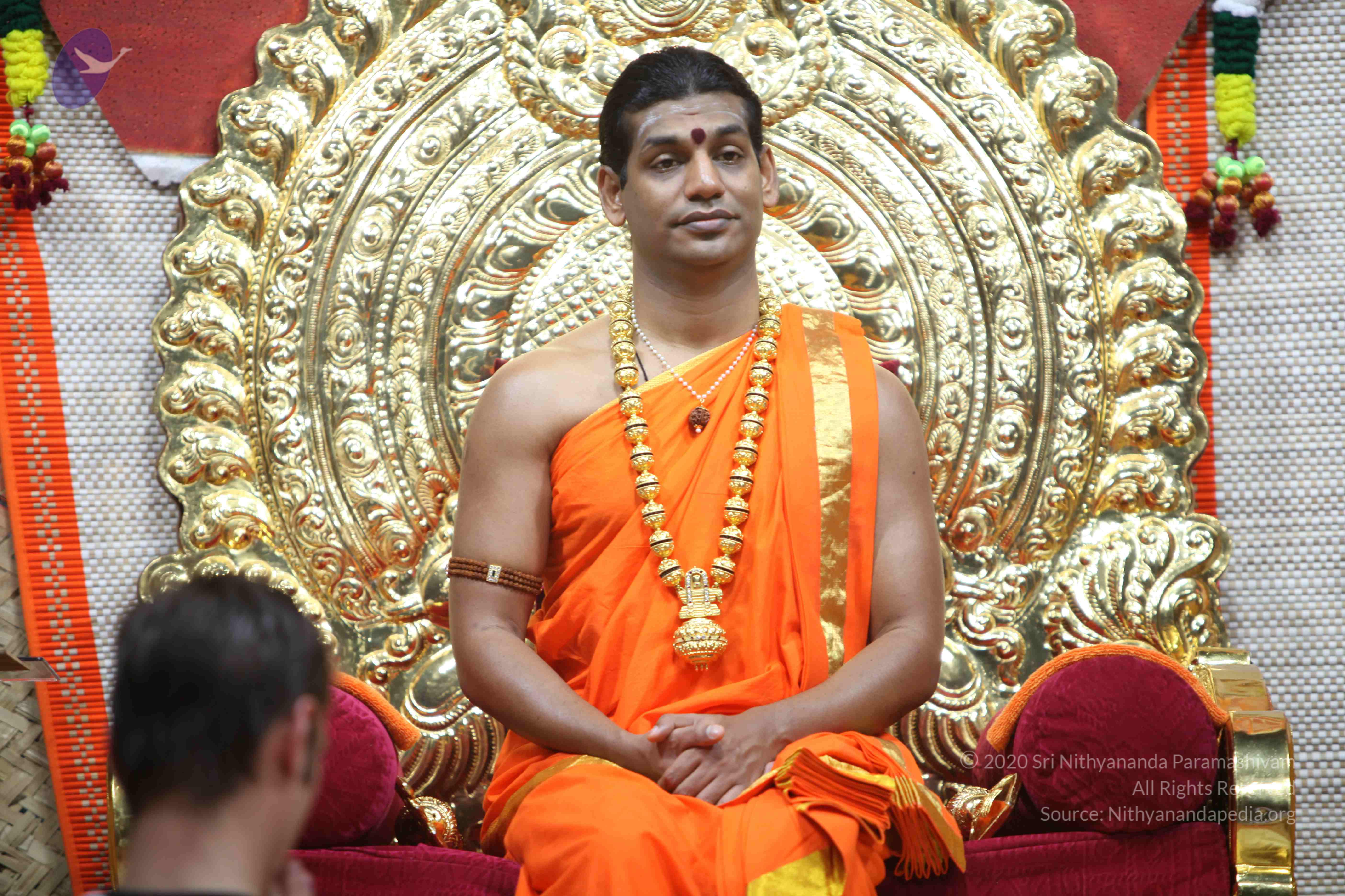 20110222_Photo_1074_IMG_9033_CMP_WM