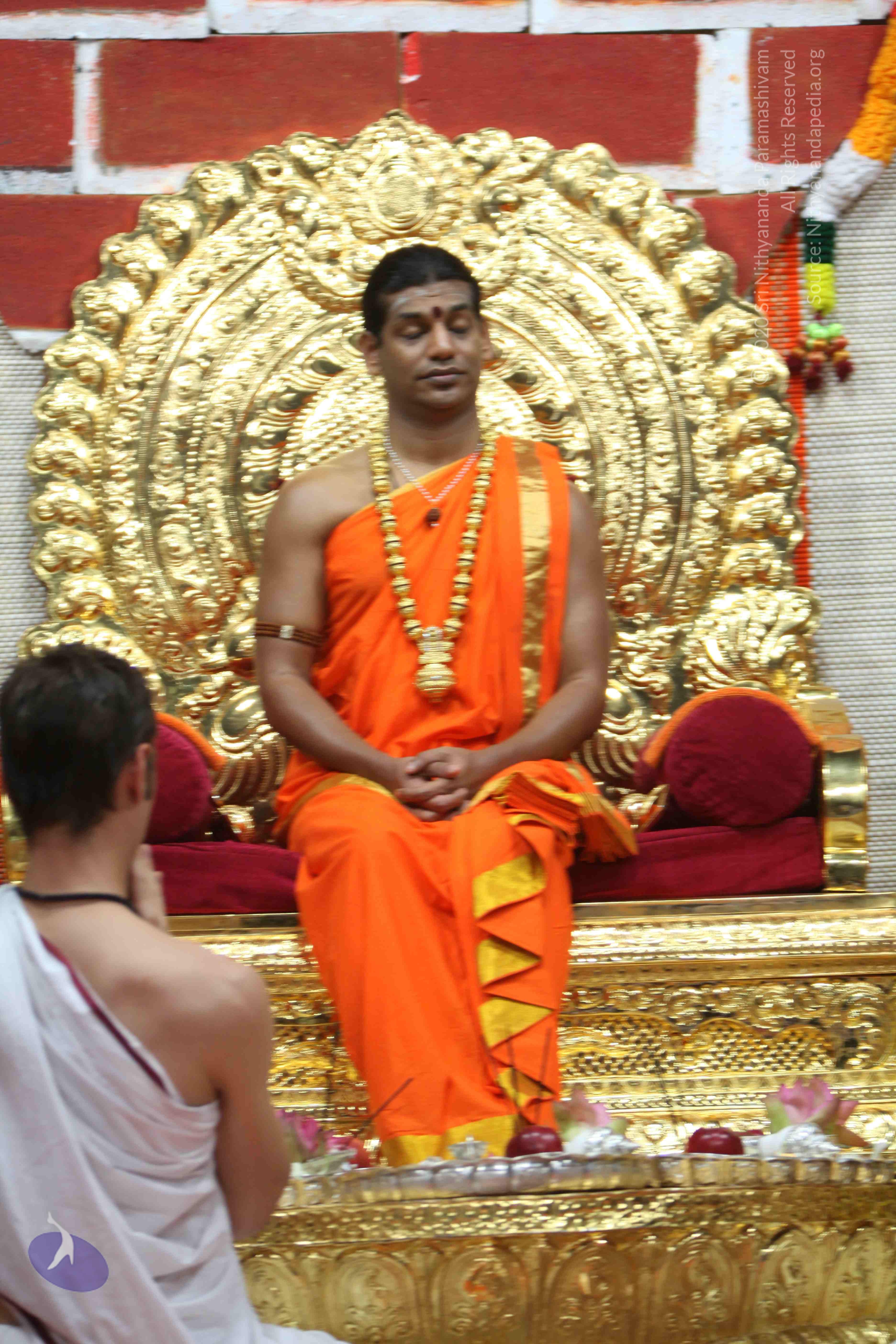 20110222_Photo_1097_IMG_9072_CMP_WM