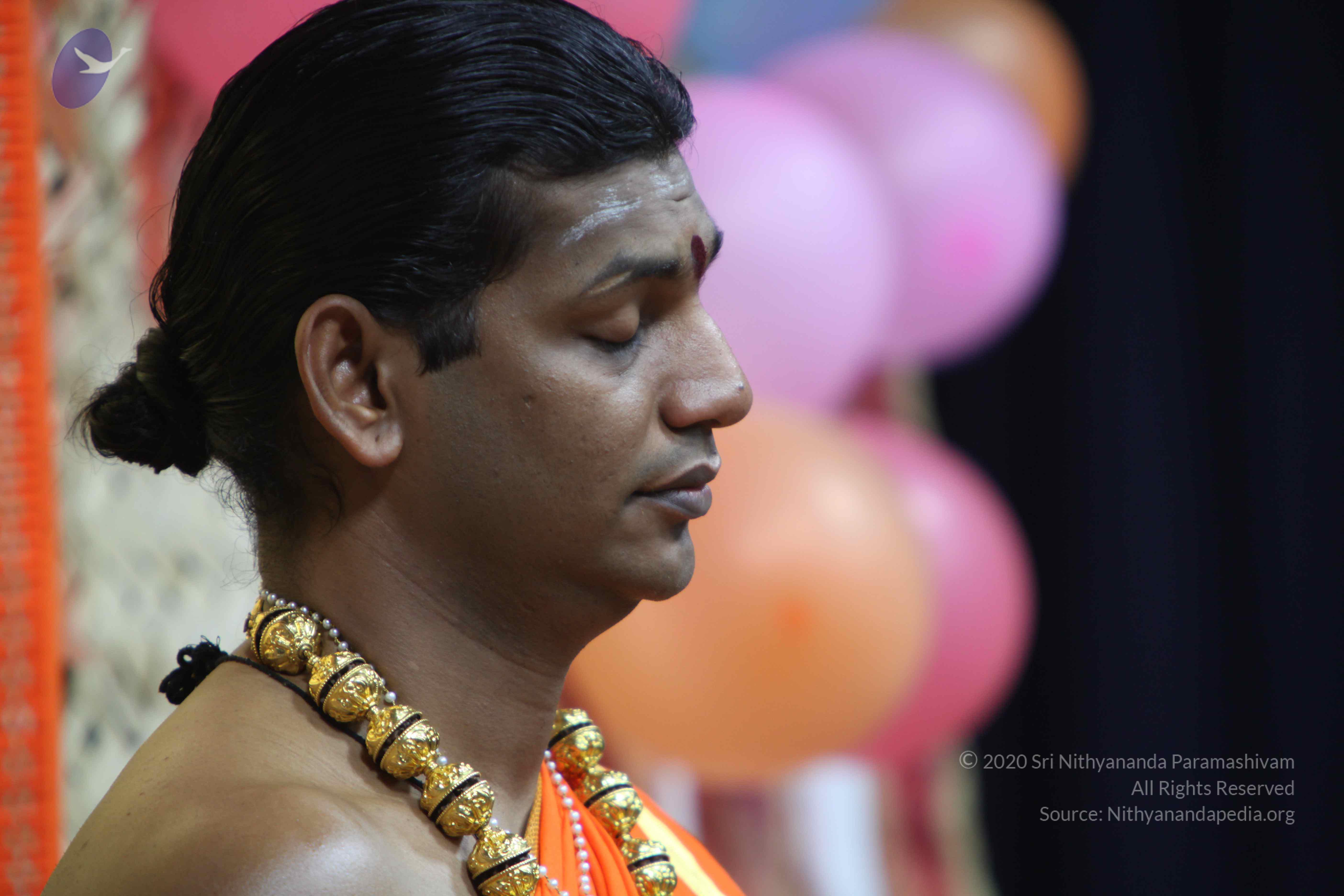 20110222_Photo_1100_IMG_9104_CMP_WM