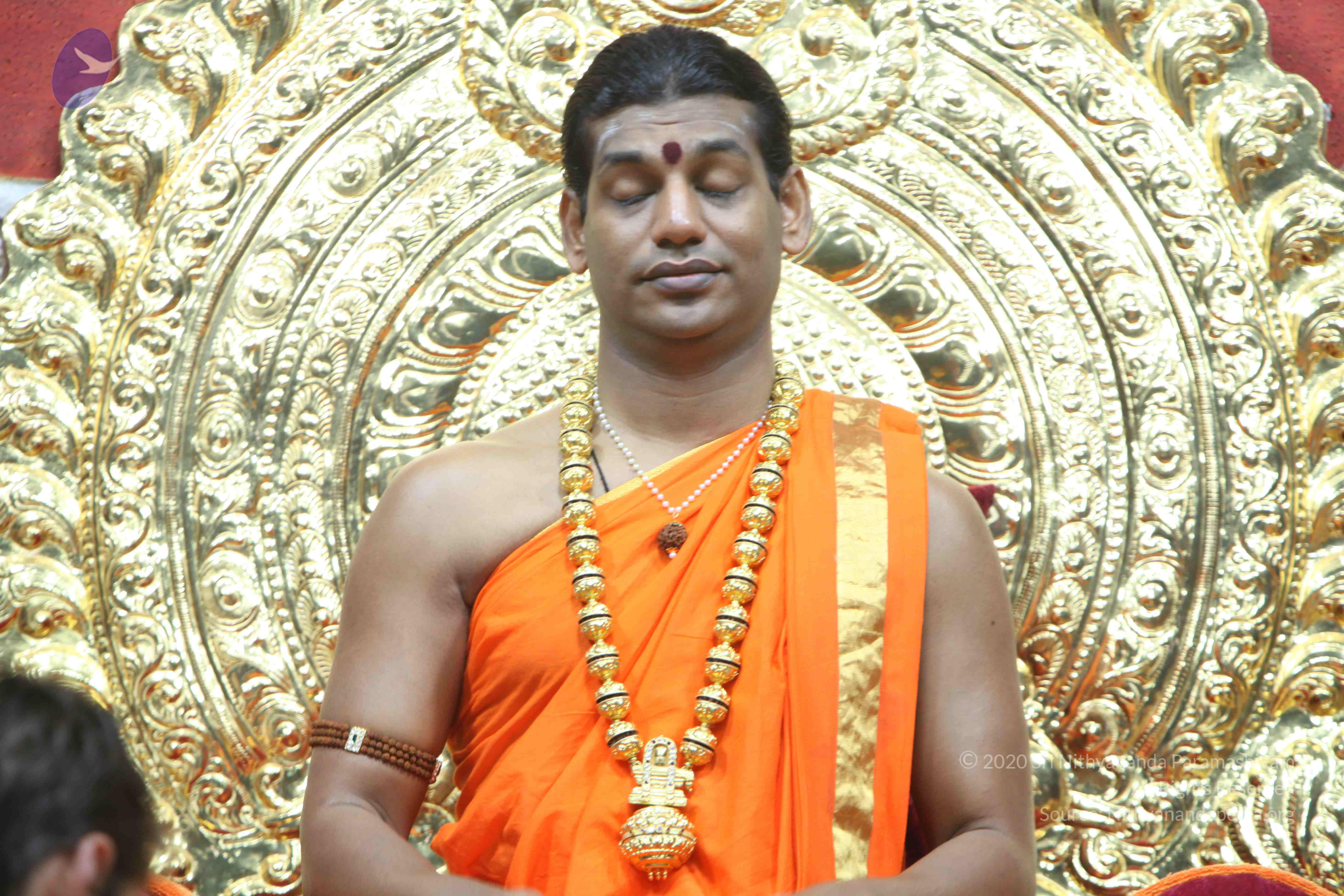 20110222_Photo_1109_IMG_9248_CMP_WM