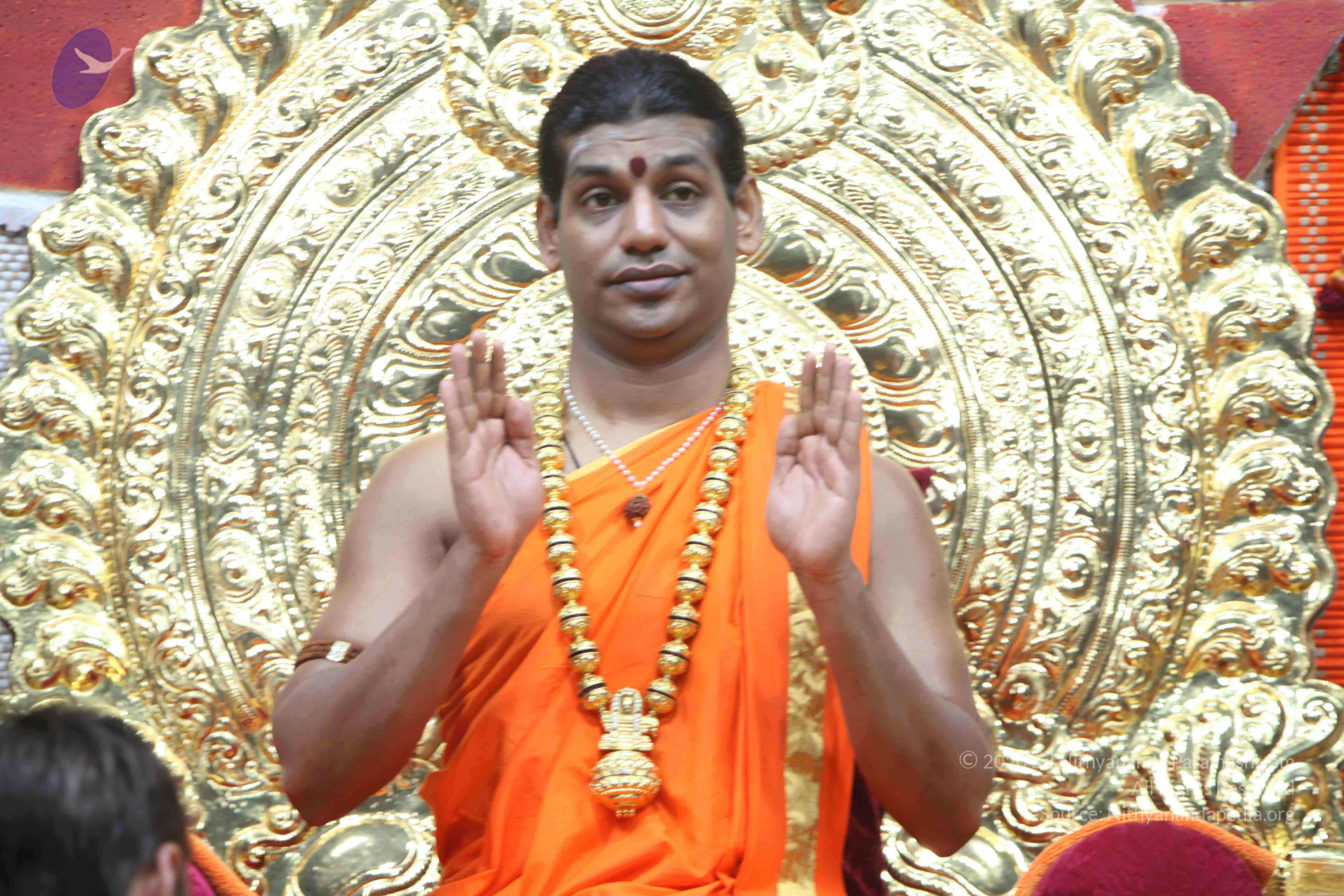 20110222_Photo_1129_IMG_9245_CMP_WM