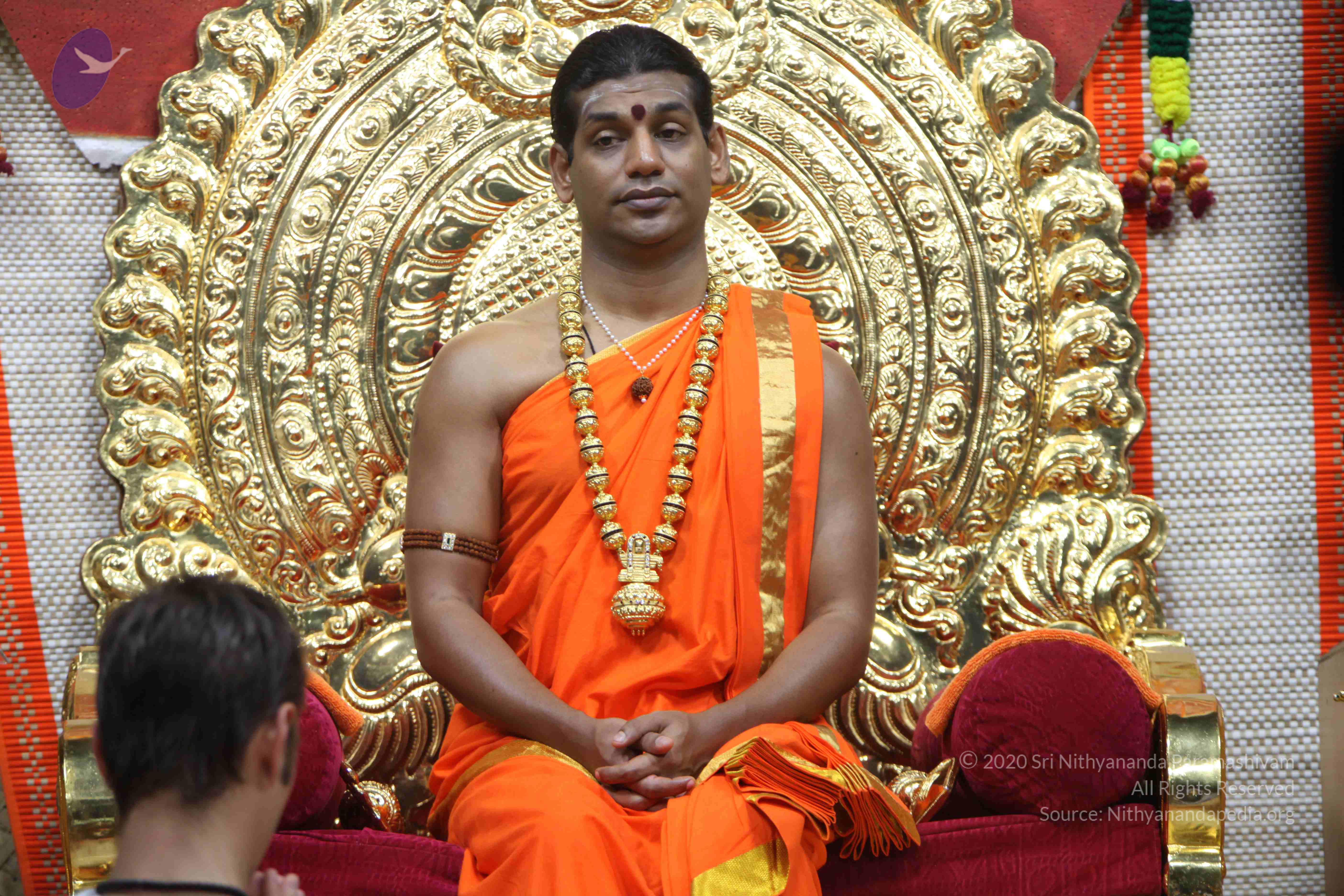 20110222_Photo_1146_IMG_9157_CMP_WM