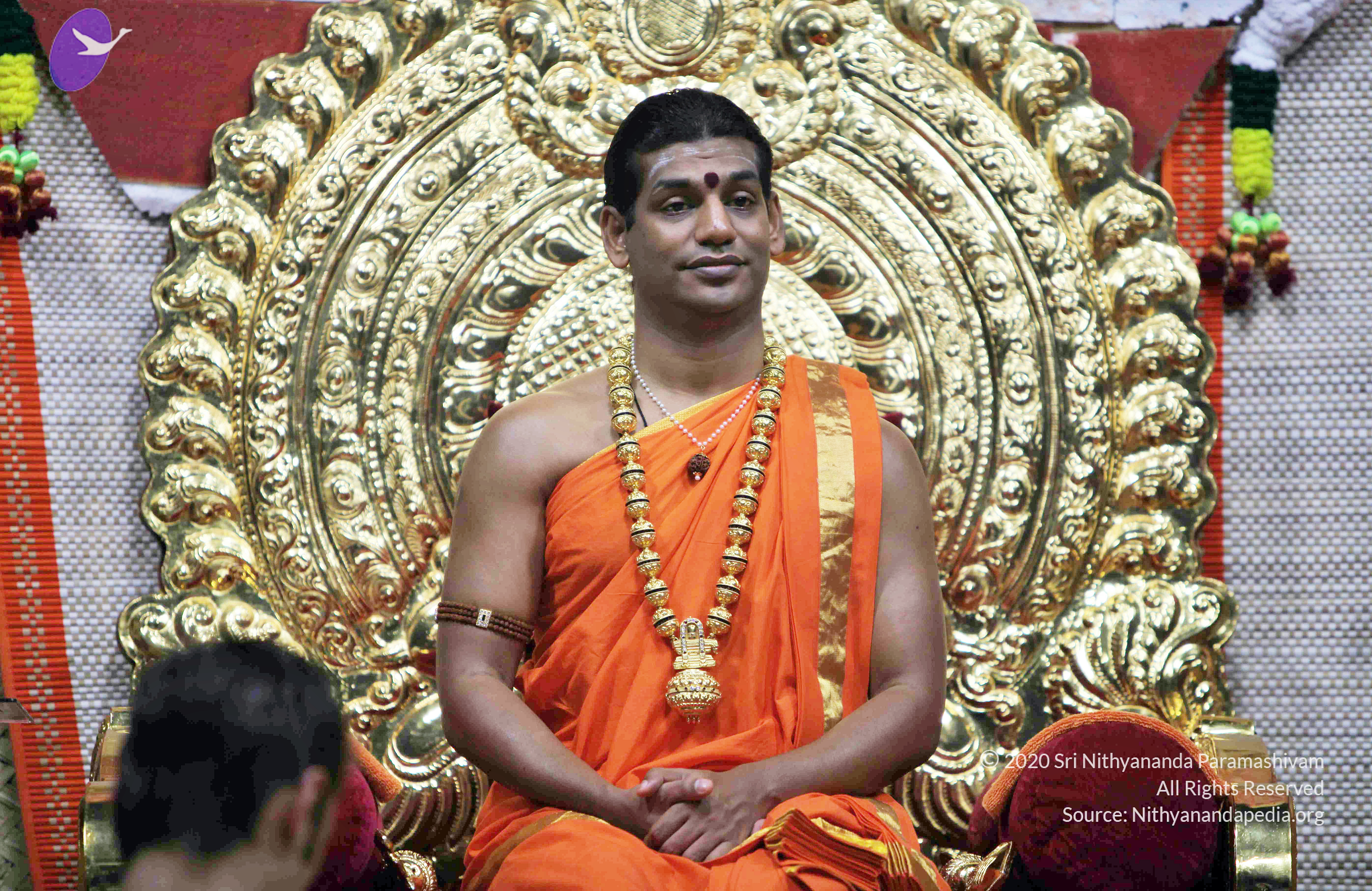 20110222_Photo_1150_IMG_9030_CMP_WM