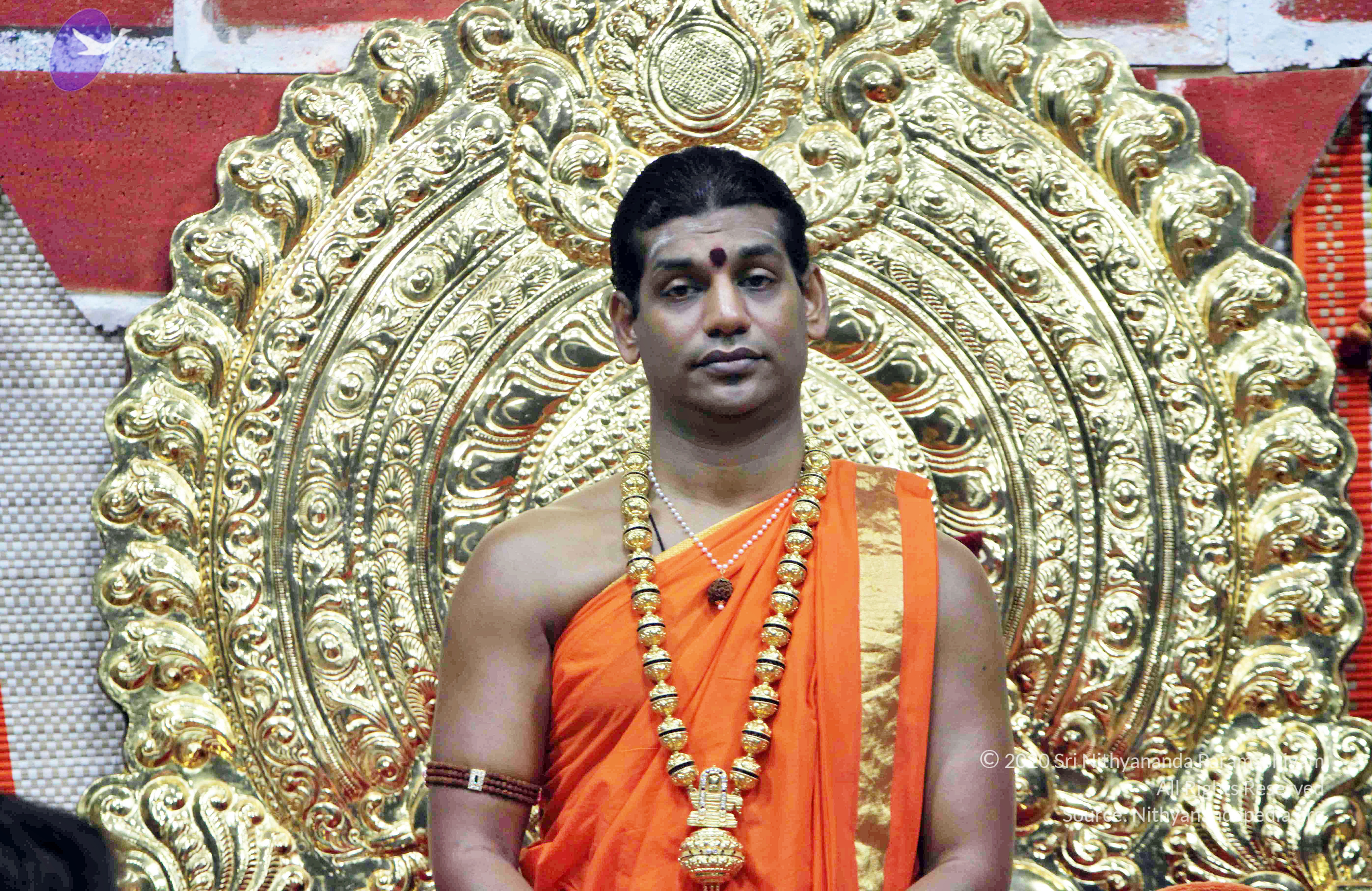 20110222_Photo_1155_IMG_9218_CMP_WM