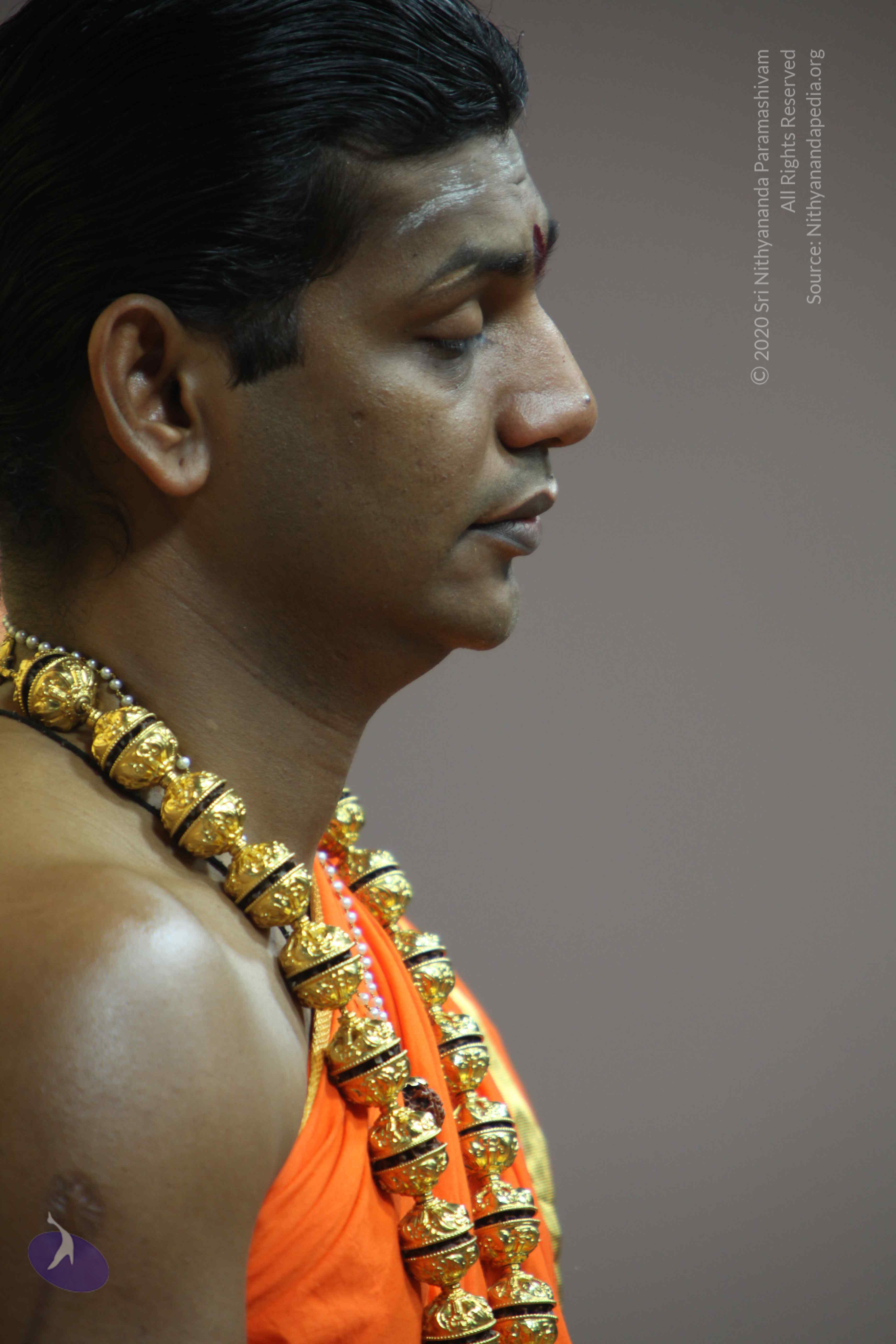 20110222_Photo_1171_IMG_9123_CMP_WM