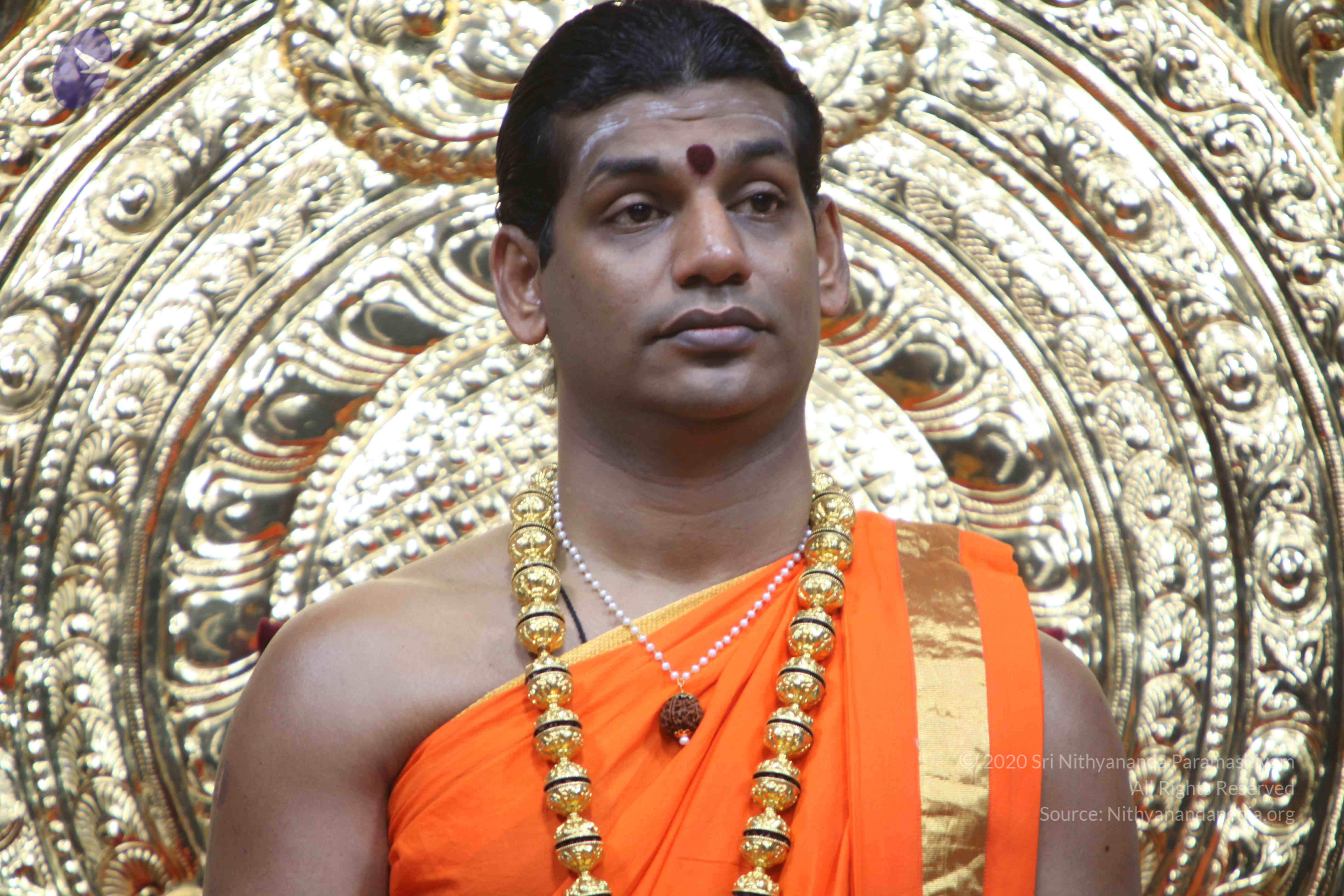 20110222_Photo_1173_IMG_9055_CMP_WM