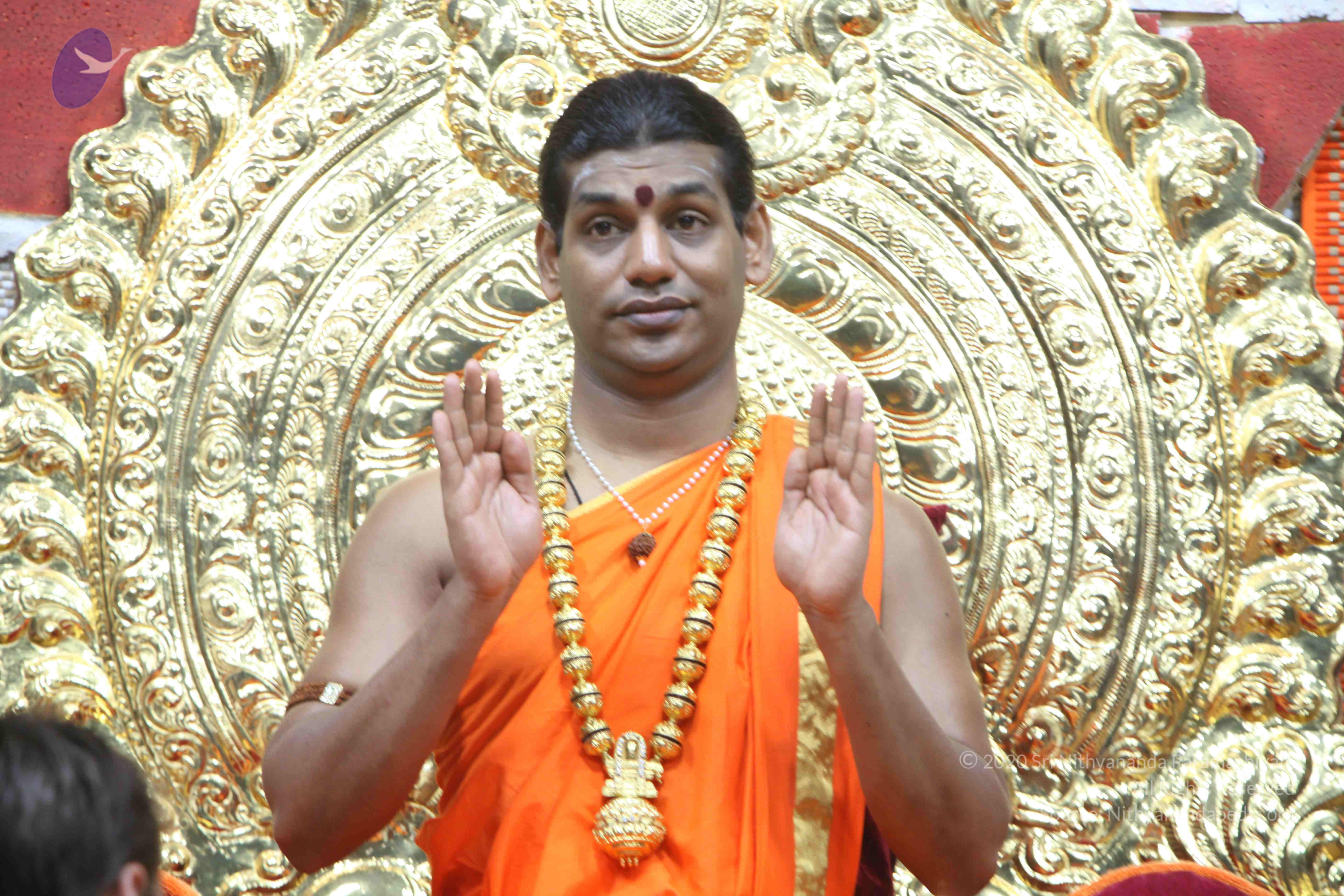 20110222_Photo_1193_IMG_9247_CMP_WM