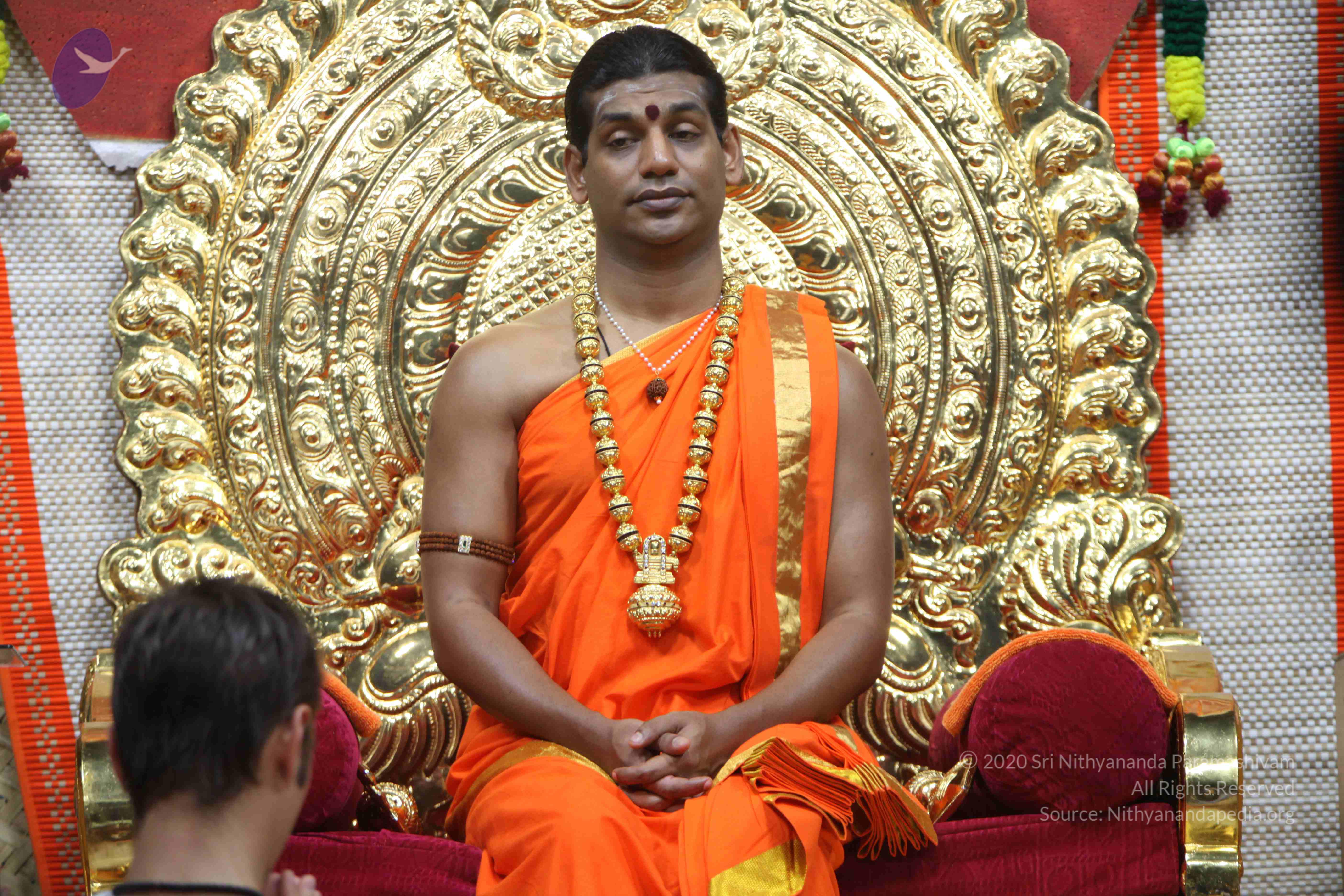 20110222_Photo_1196_IMG_9155_CMP_WM