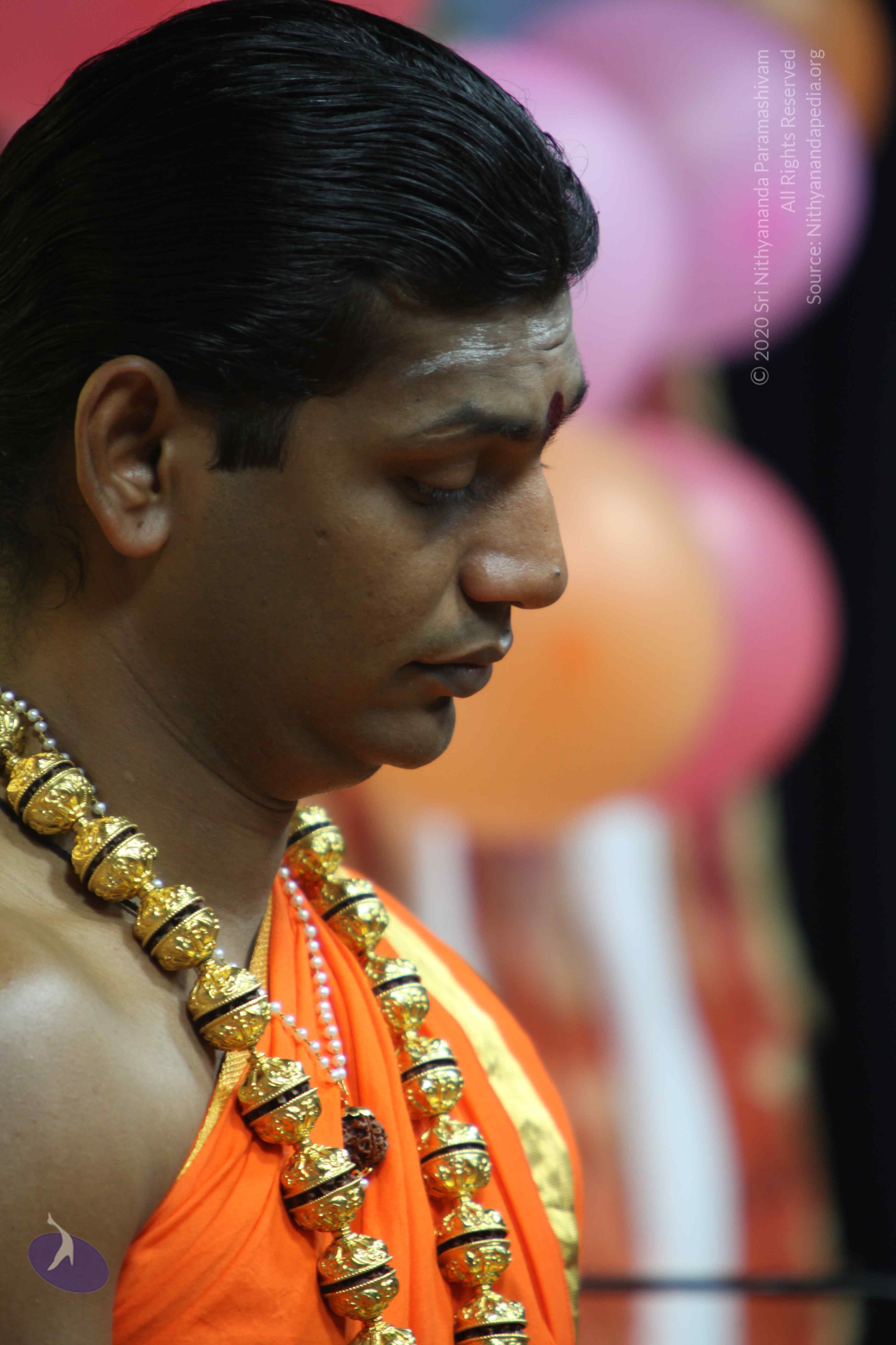 20110222_Photo_1199_IMG_9100_CMP_WM